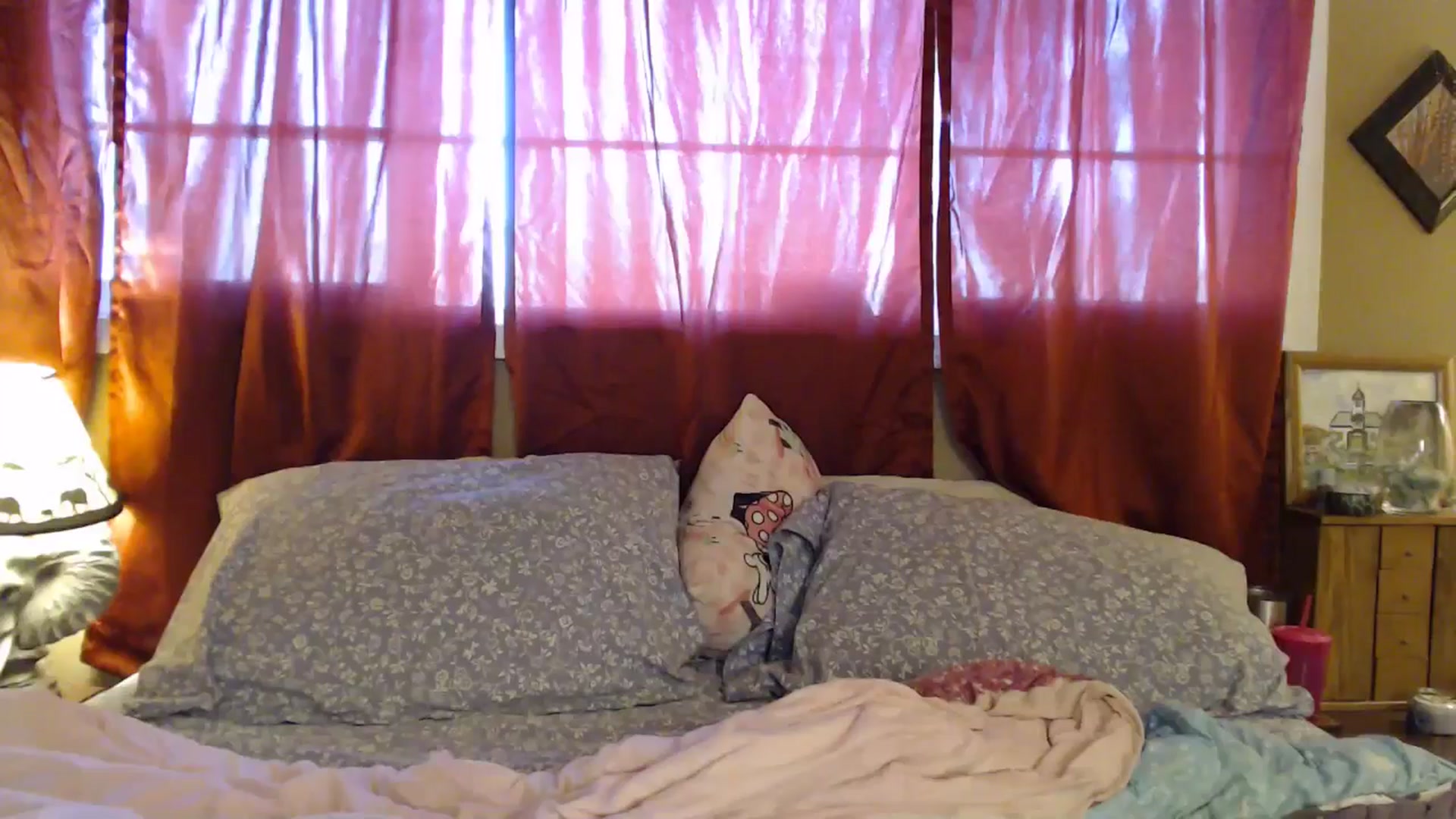 Gallery image thumbnail from Freckles___'s myfreecams stream on, 04/18/2025, 17:03 image 19 of 20
