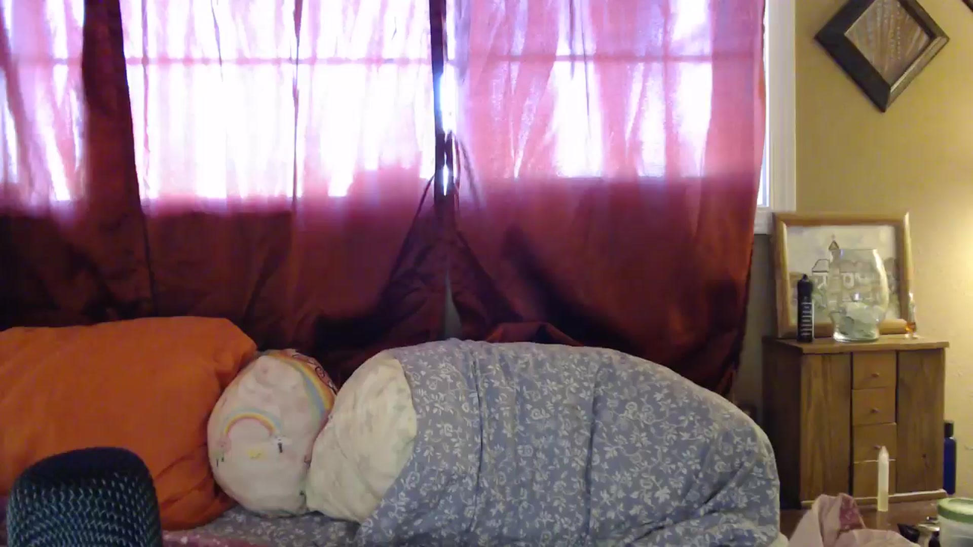 Gallery image thumbnail from Freckles___'s myfreecams stream on, 05/05/2025, 23:58 image 13 of 20
