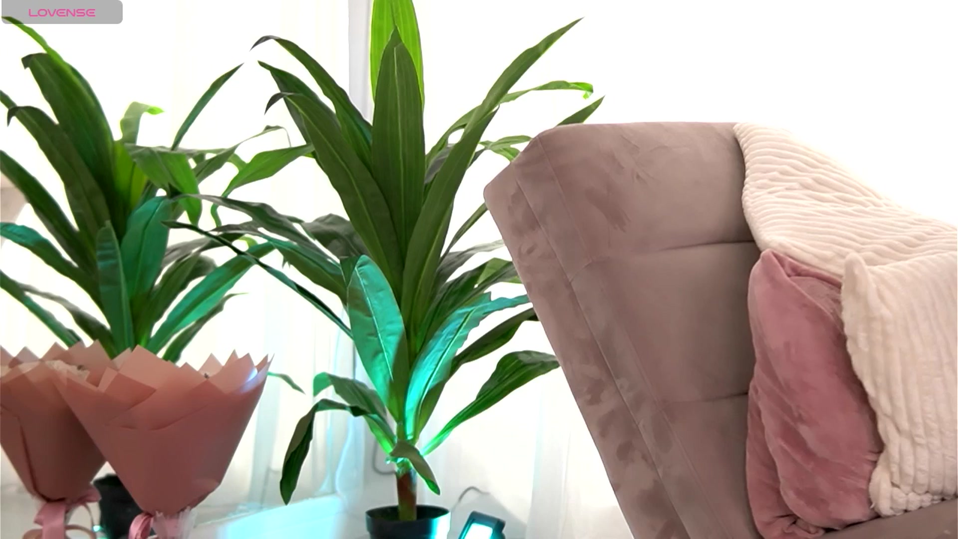 Gallery image thumbnail from FreyaHeart's myfreecams stream on, 09/25/2025, 08:41 image 8 of 20