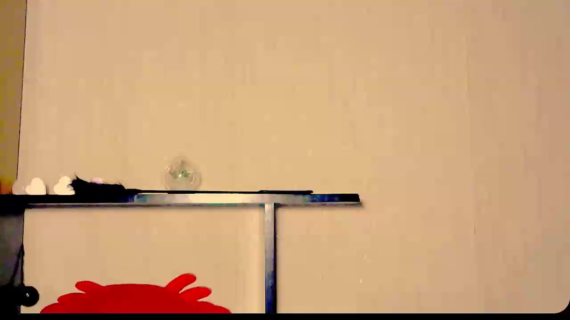 Gallery image thumbnail from Frioninny's myfreecams stream on, 08/13/2026, 19:46 image 9 of 20