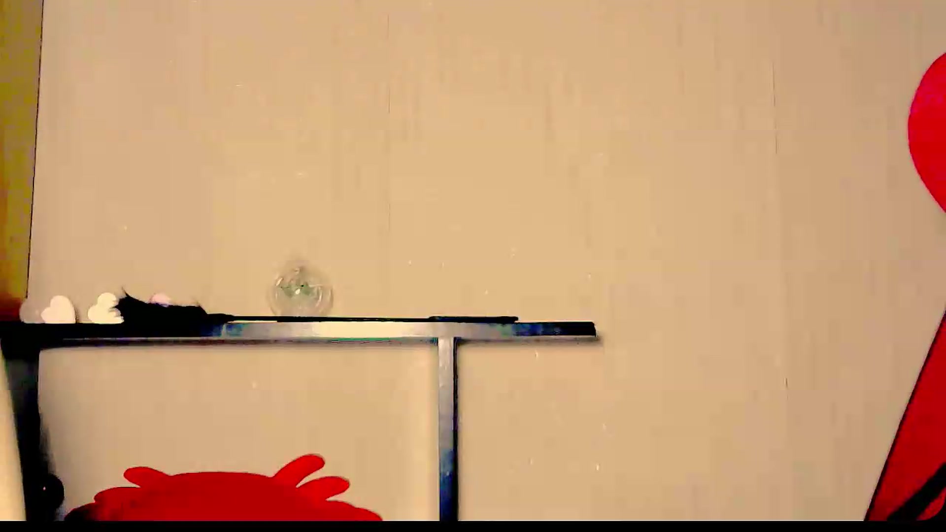 Gallery image thumbnail from Frioninny's myfreecams stream on, 08/13/2026, 19:46 image 5 of 20