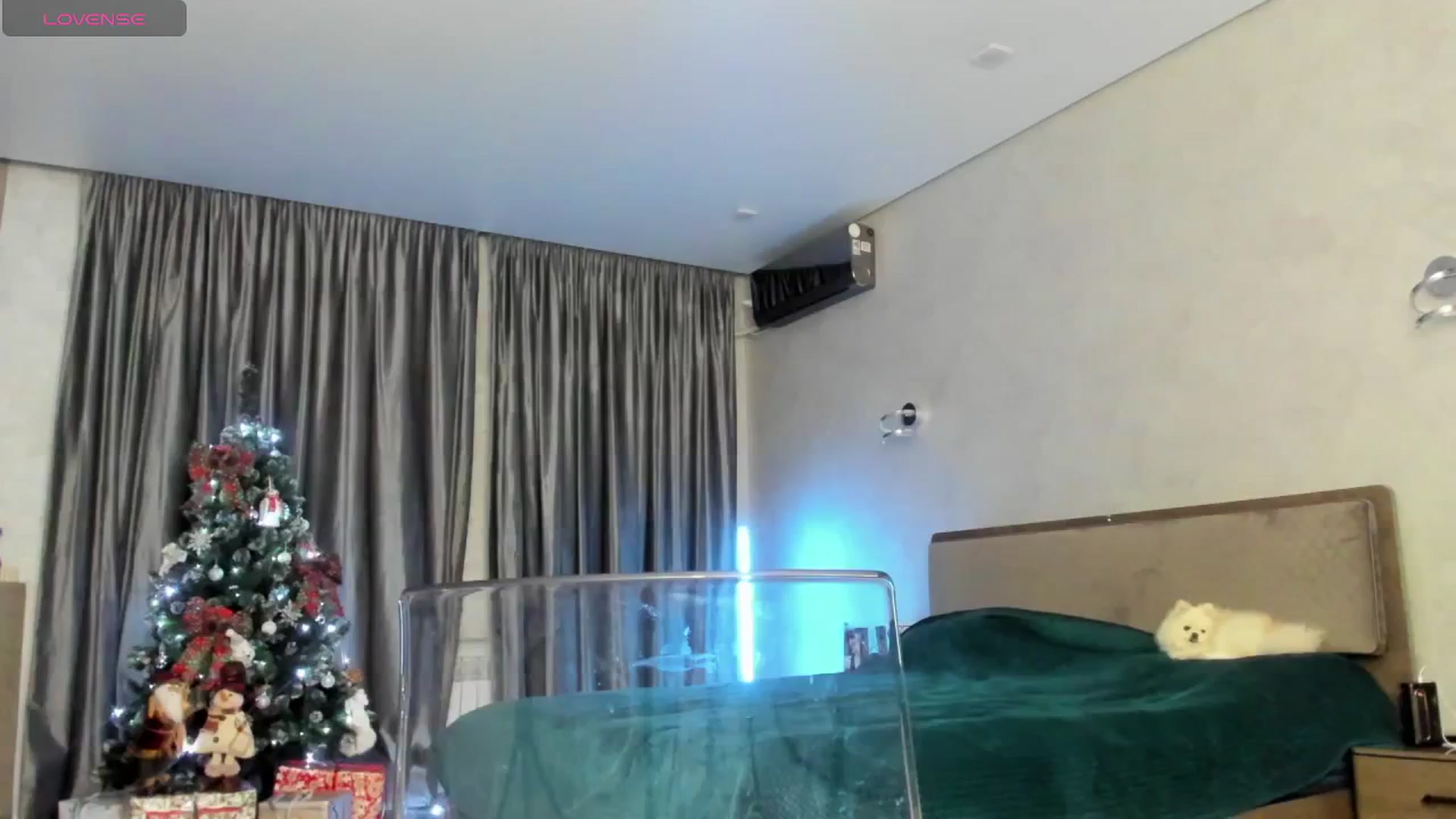 Gallery image thumbnail from FromParadiseK's myfreecams stream on, 12/17/2025, 18:53 image 7 of 20