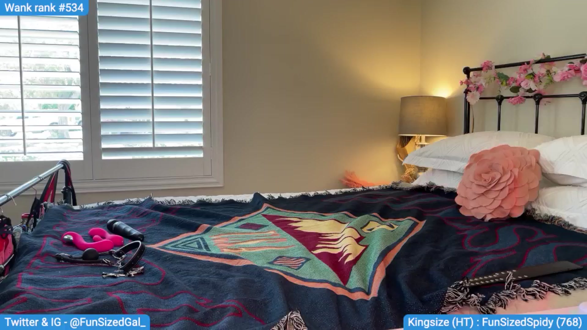 Gallery image thumbnail from FunSizedGal's myfreecams stream on, 09/01/2024, 20:38 image 12 of 20