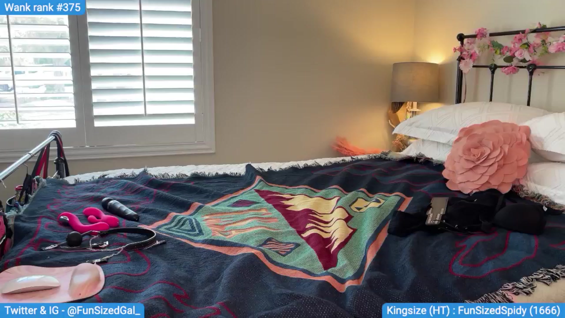 Gallery image thumbnail from FunSizedGal's myfreecams stream on, 09/01/2024, 22:00 image 8 of 20