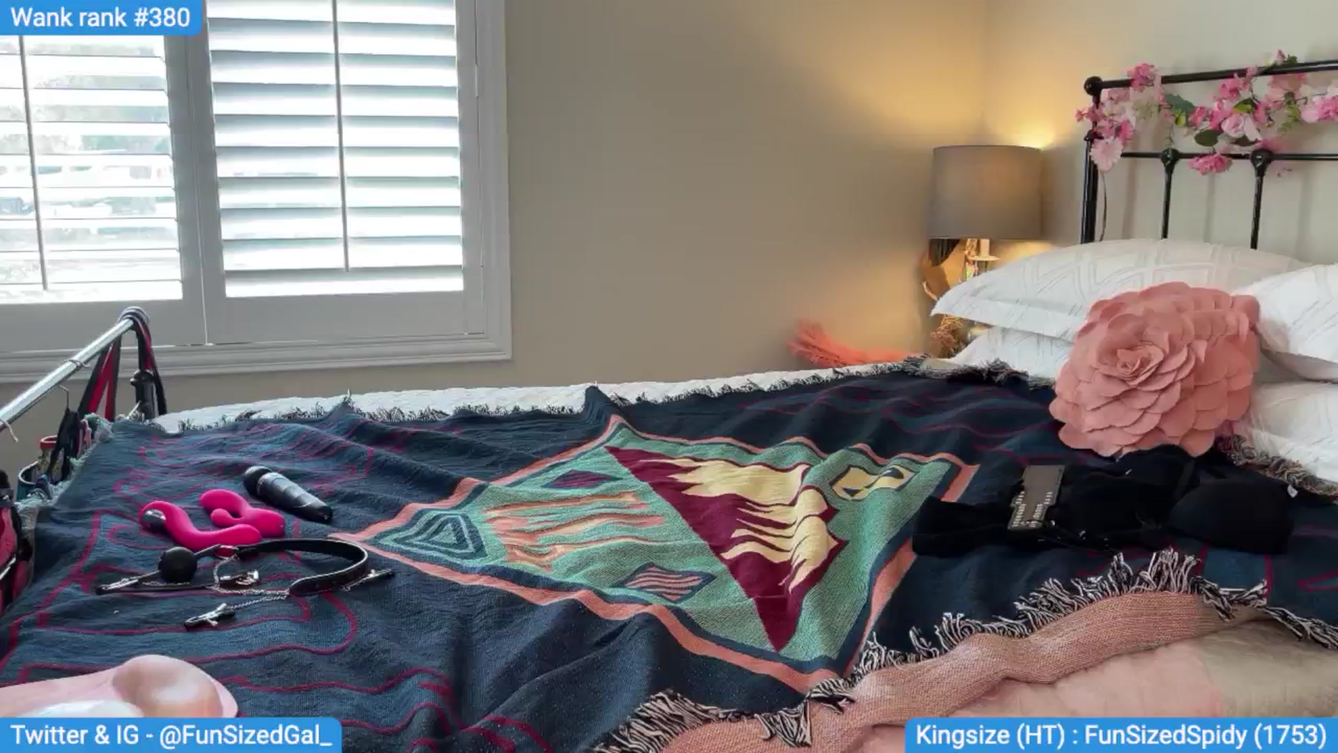 Gallery image thumbnail from FunSizedGal's myfreecams stream on, 09/01/2024, 22:00 image 17 of 20