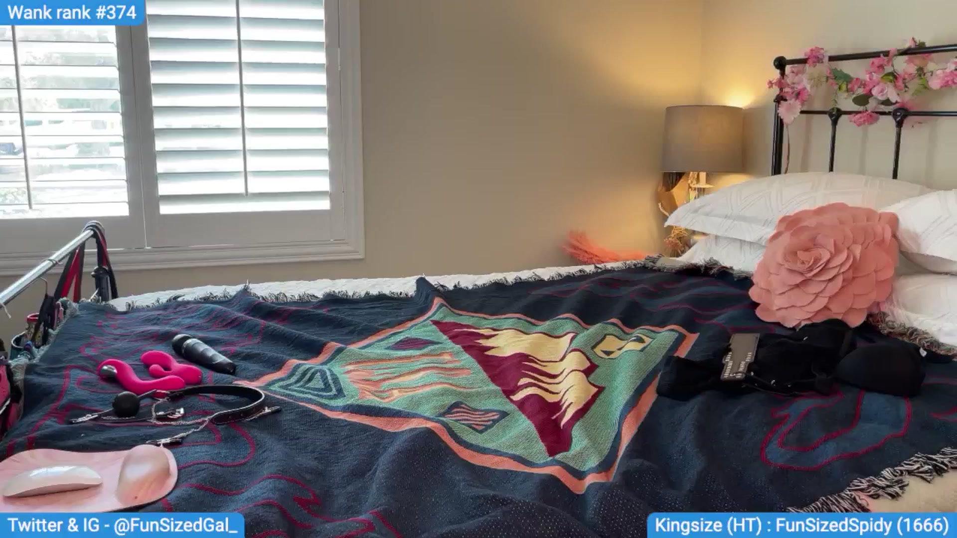 Gallery image thumbnail from FunSizedGal's myfreecams stream on, 09/01/2024, 22:00 image 10 of 20