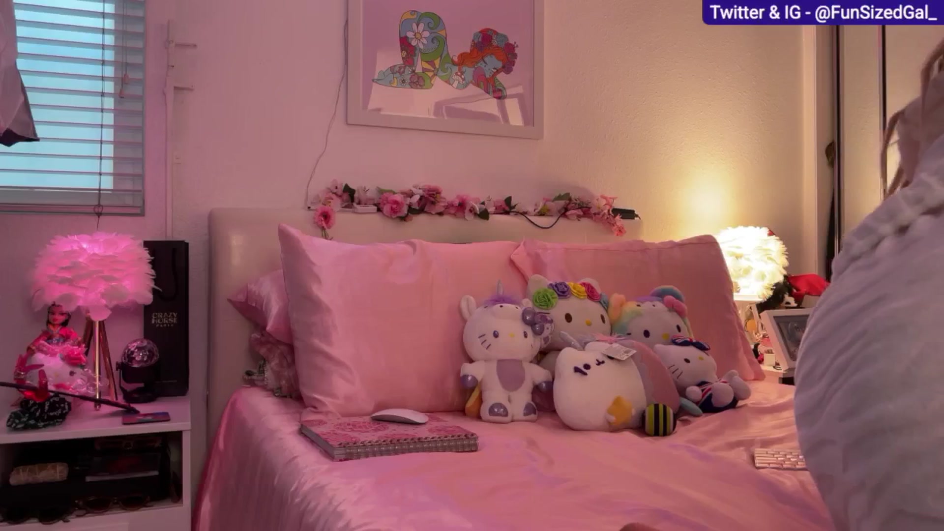 Gallery image thumbnail from FunSizedGal's myfreecams stream on, 03/12/2025, 23:26 image 15 of 20