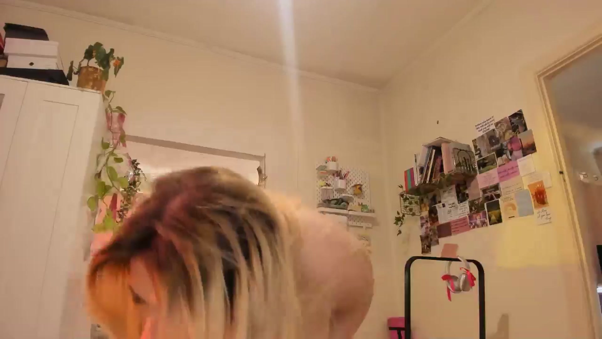 Gallery image thumbnail from Fun_Nikki's myfreecams stream on, 12/05/2024, 03:34 image 12 of 20