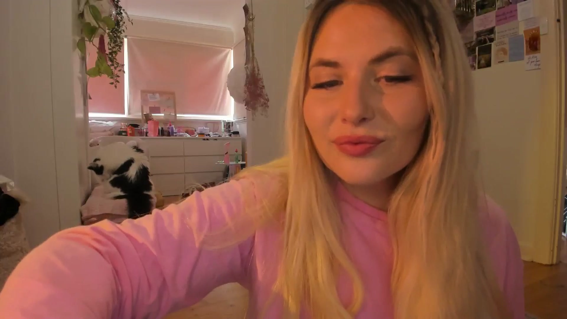 Gallery image thumbnail from Fun_Nikki's myfreecams stream on, 12/06/2024, 07:31 image 5 of 20