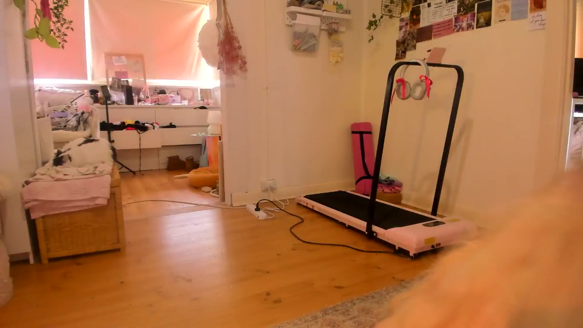 Gallery image thumbnail from Fun_Nikki's myfreecams stream on, 12/14/2024, 05:53 image 3 of 20