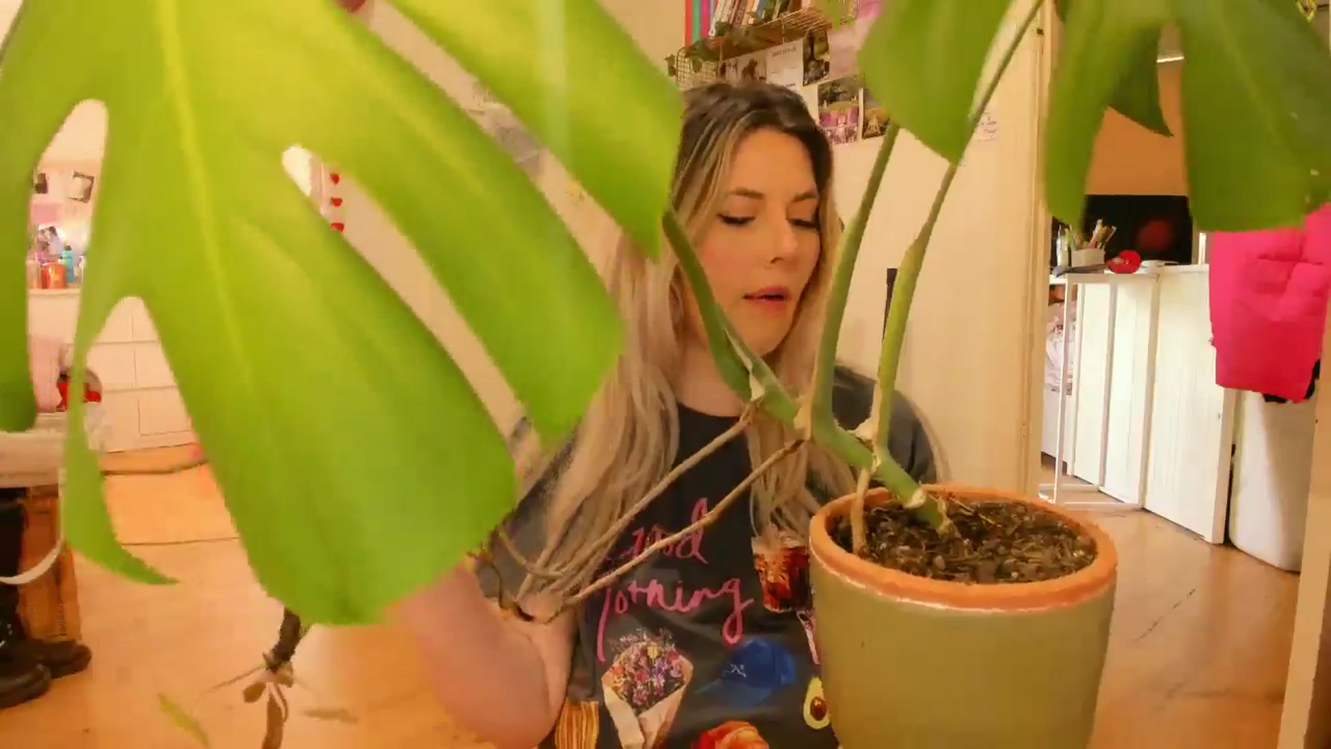 Gallery image thumbnail from Fun_Nikki's myfreecams stream on, 08/01/2025, 03:00 image 2 of 20