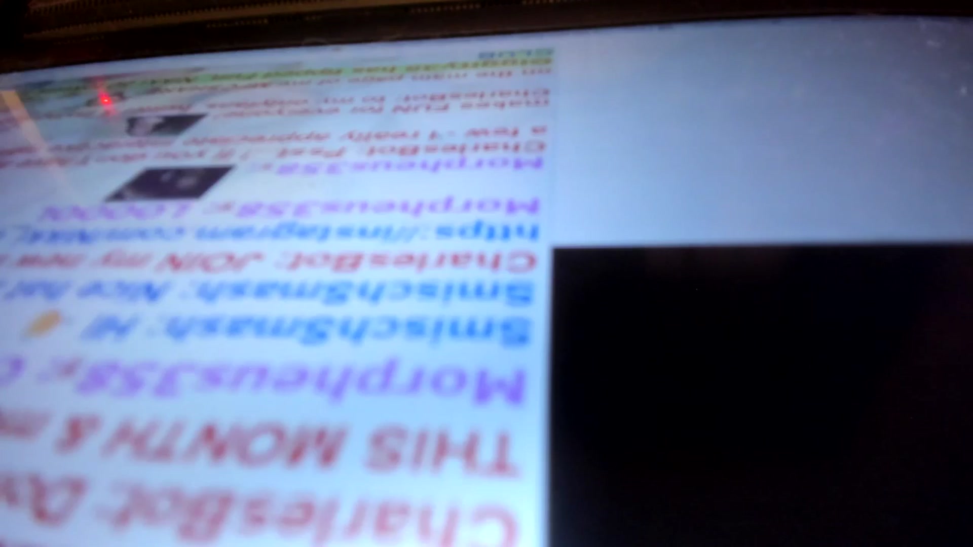 Gallery image thumbnail from Fun_Nikki's myfreecams stream on, 02/07/2026, 13:39 image 13 of 20