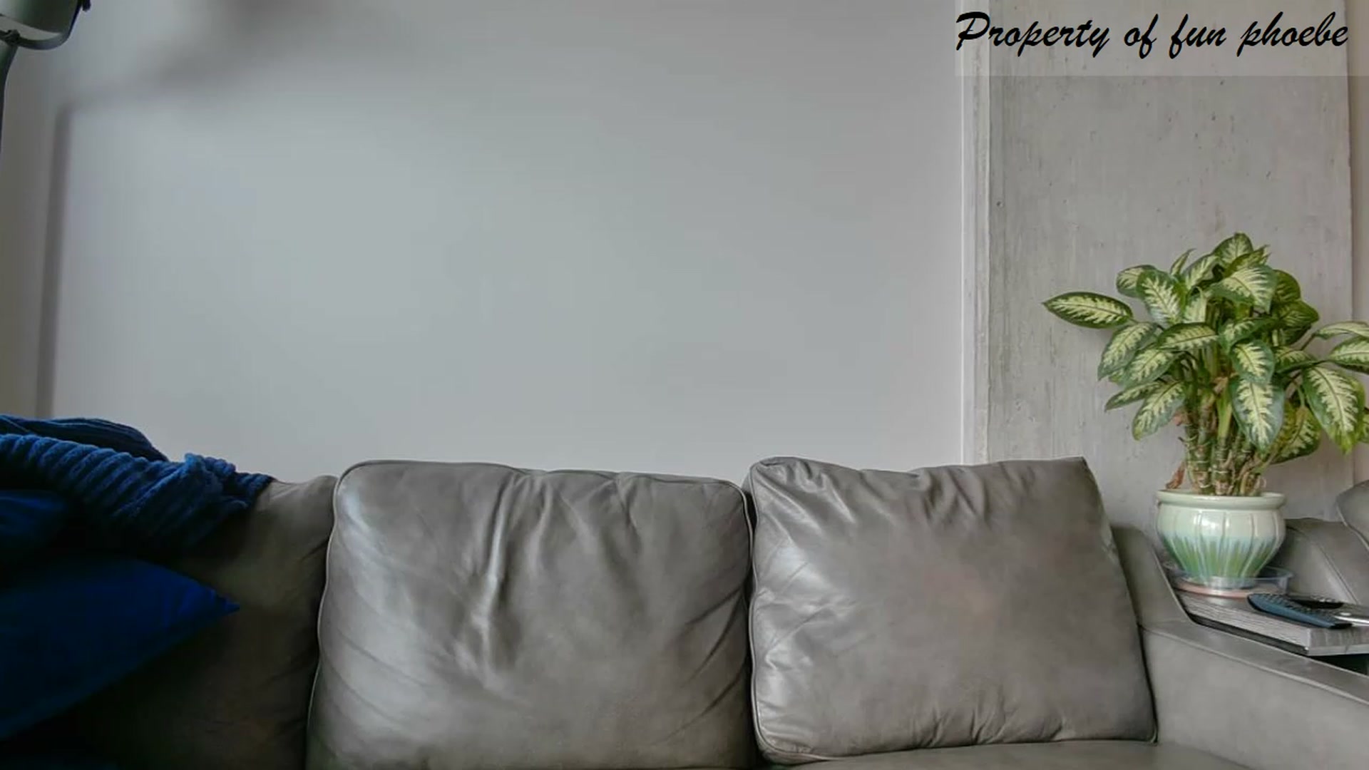 Gallery image thumbnail from Fun_Phoebe's myfreecams stream on, 07/17/2023, 17:04 image 15 of 20