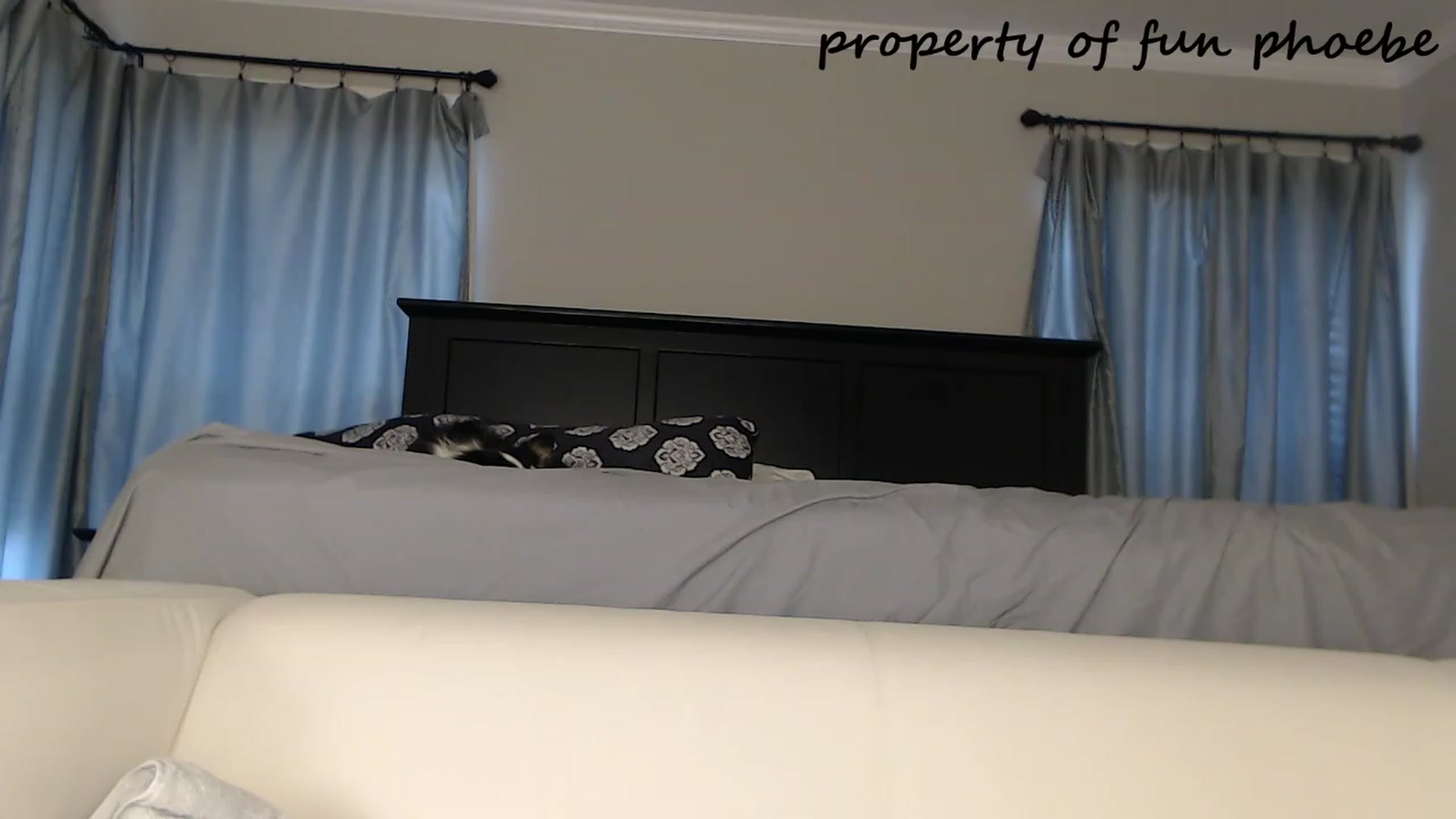 Gallery image thumbnail from Fun_Phoebe's myfreecams stream on, 08/18/2023, 16:44 image 9 of 20