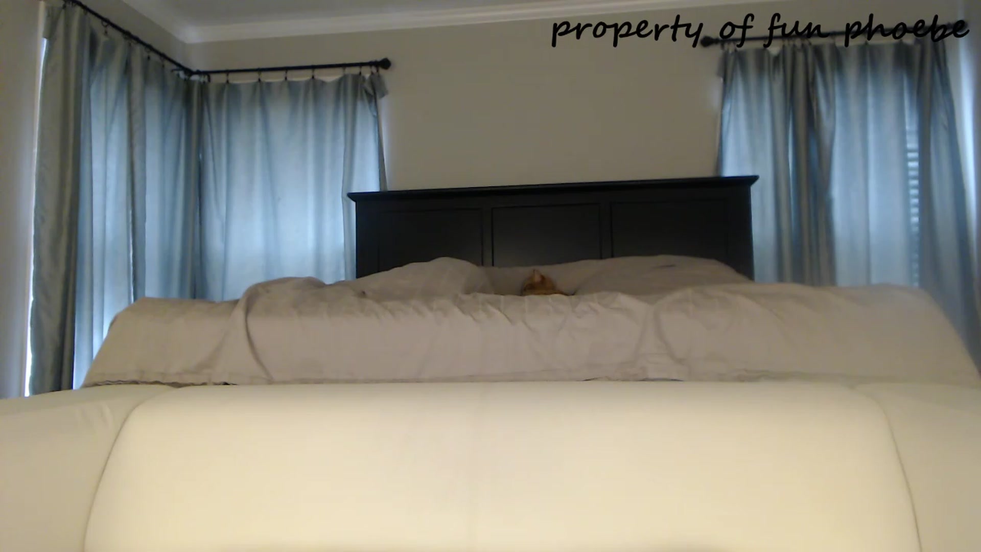 Gallery image thumbnail from Fun_Phoebe's myfreecams stream on, 10/27/2023, 16:38 image 11 of 20
