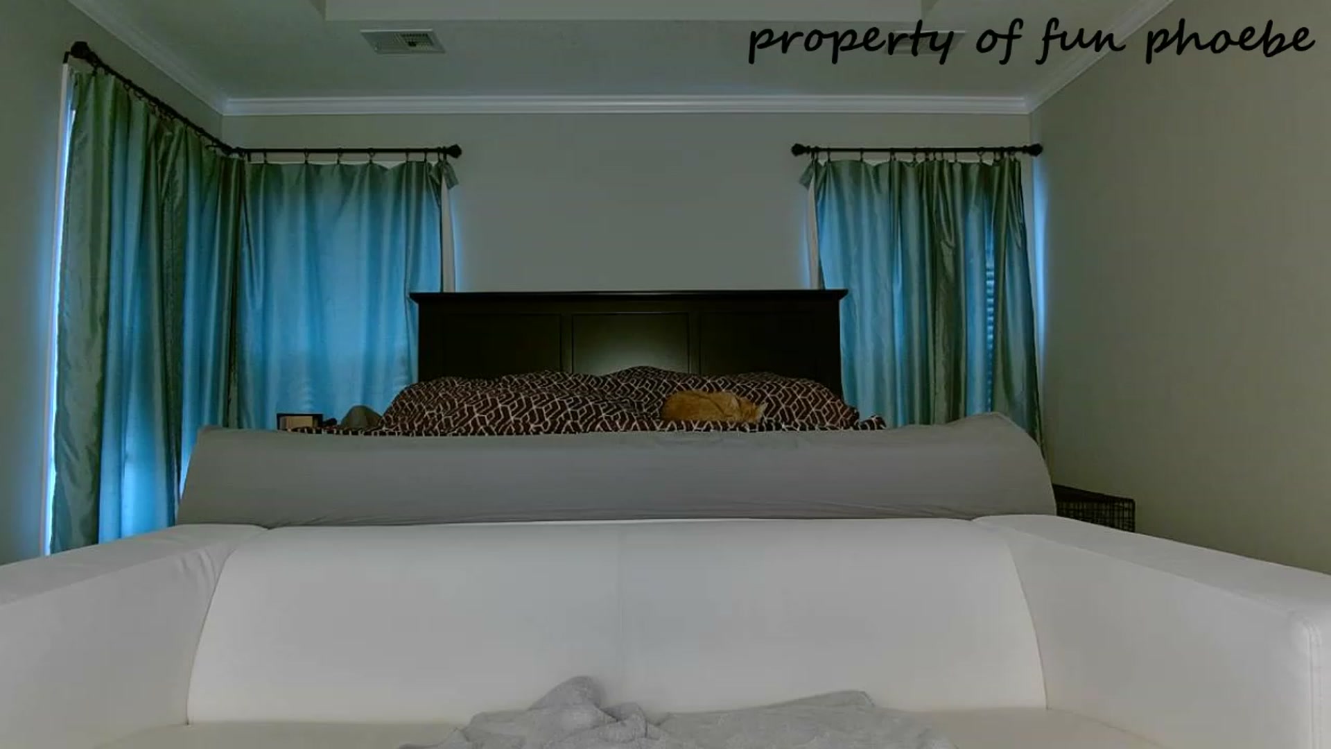 Gallery image thumbnail from Fun_Phoebe's myfreecams stream on, 12/01/2023, 18:36 image 3 of 20