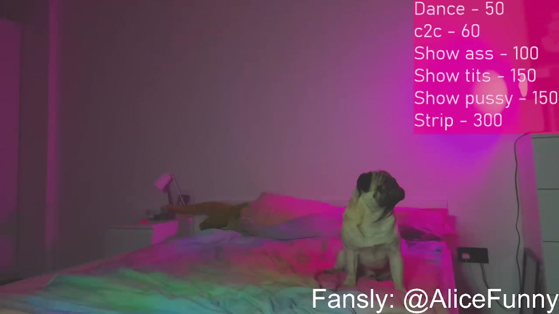 Gallery image thumbnail from FunnyMinni's myfreecams stream on, 03/26/2023, 17:14 image 13 of 20