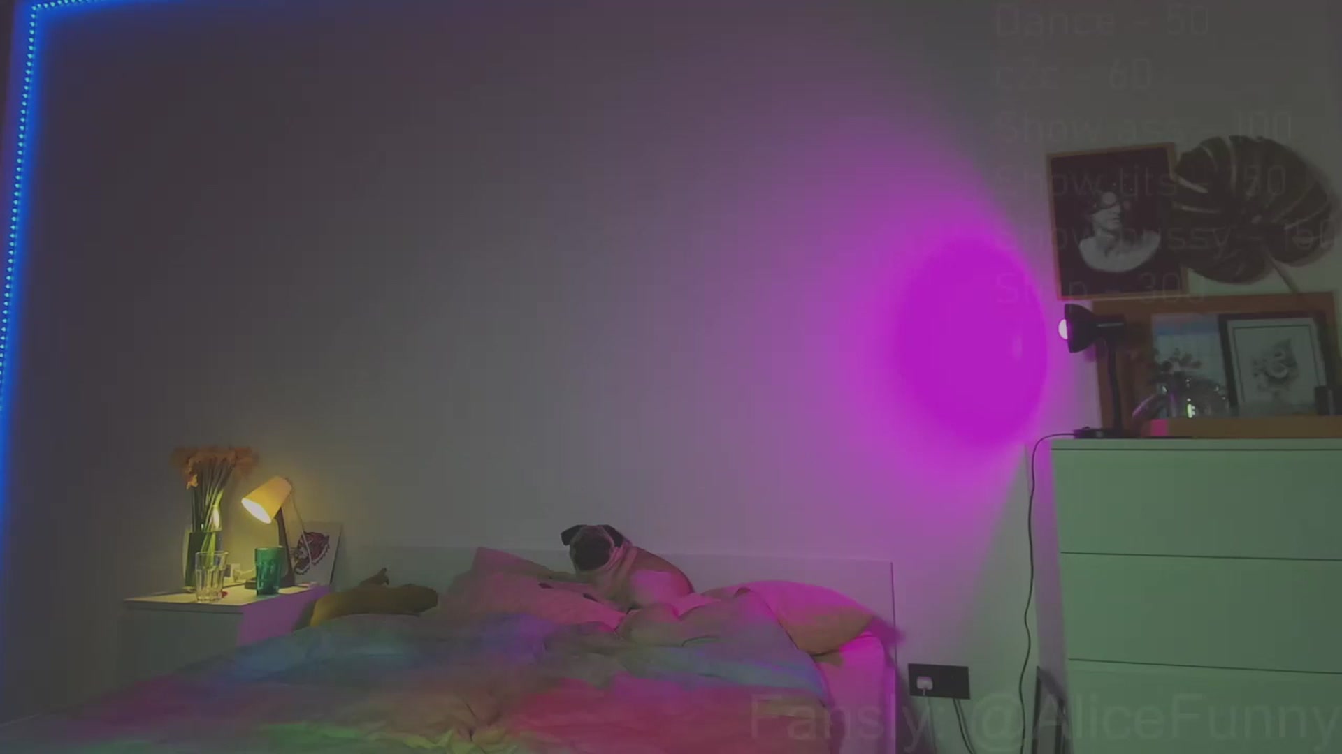Gallery image thumbnail from FunnyMinni's myfreecams stream on, 03/29/2023, 16:14 image 8 of 20