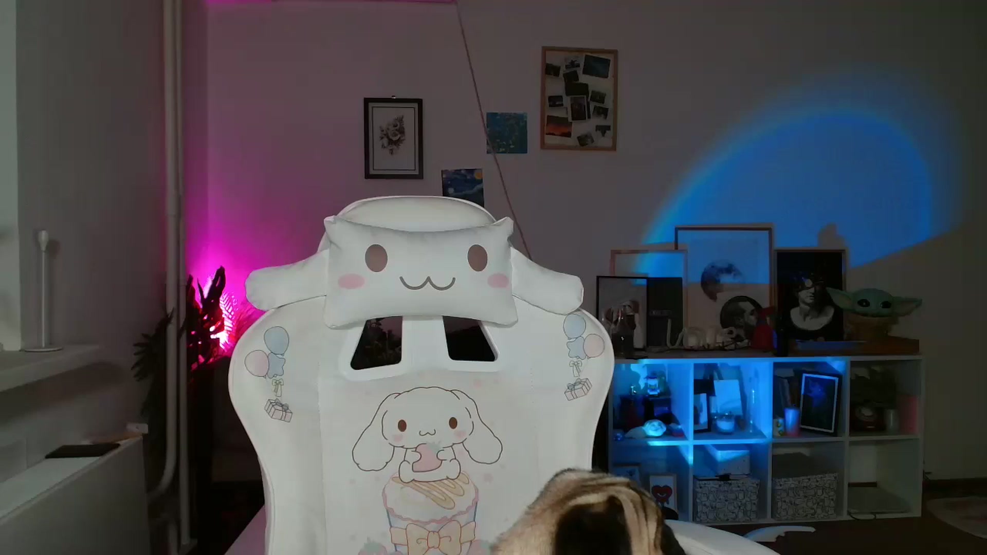 Gallery image thumbnail from FunnyMinni's myfreecams stream on, 08/01/2024, 17:48 image 20 of 20
