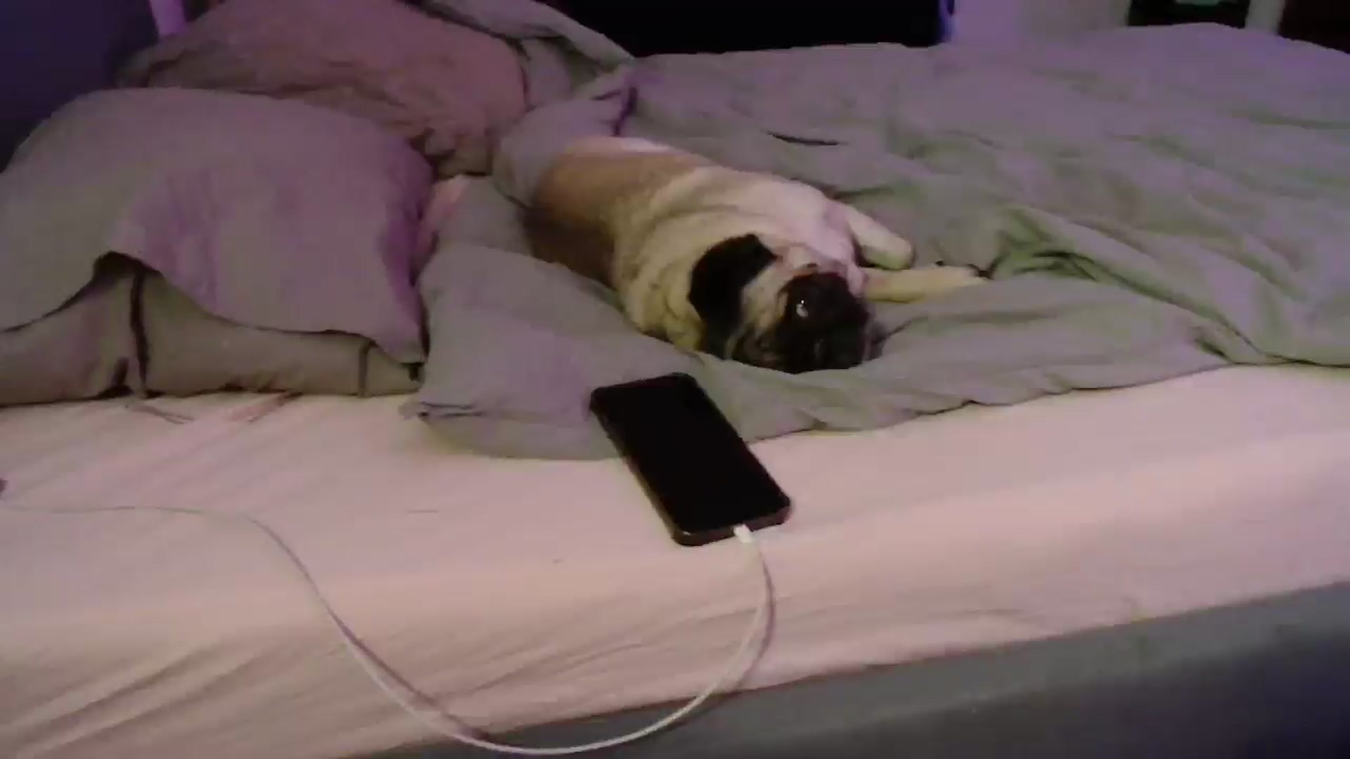 Gallery image thumbnail from FunnyMinni's myfreecams stream on, 03/01/2025, 18:03 image 13 of 20