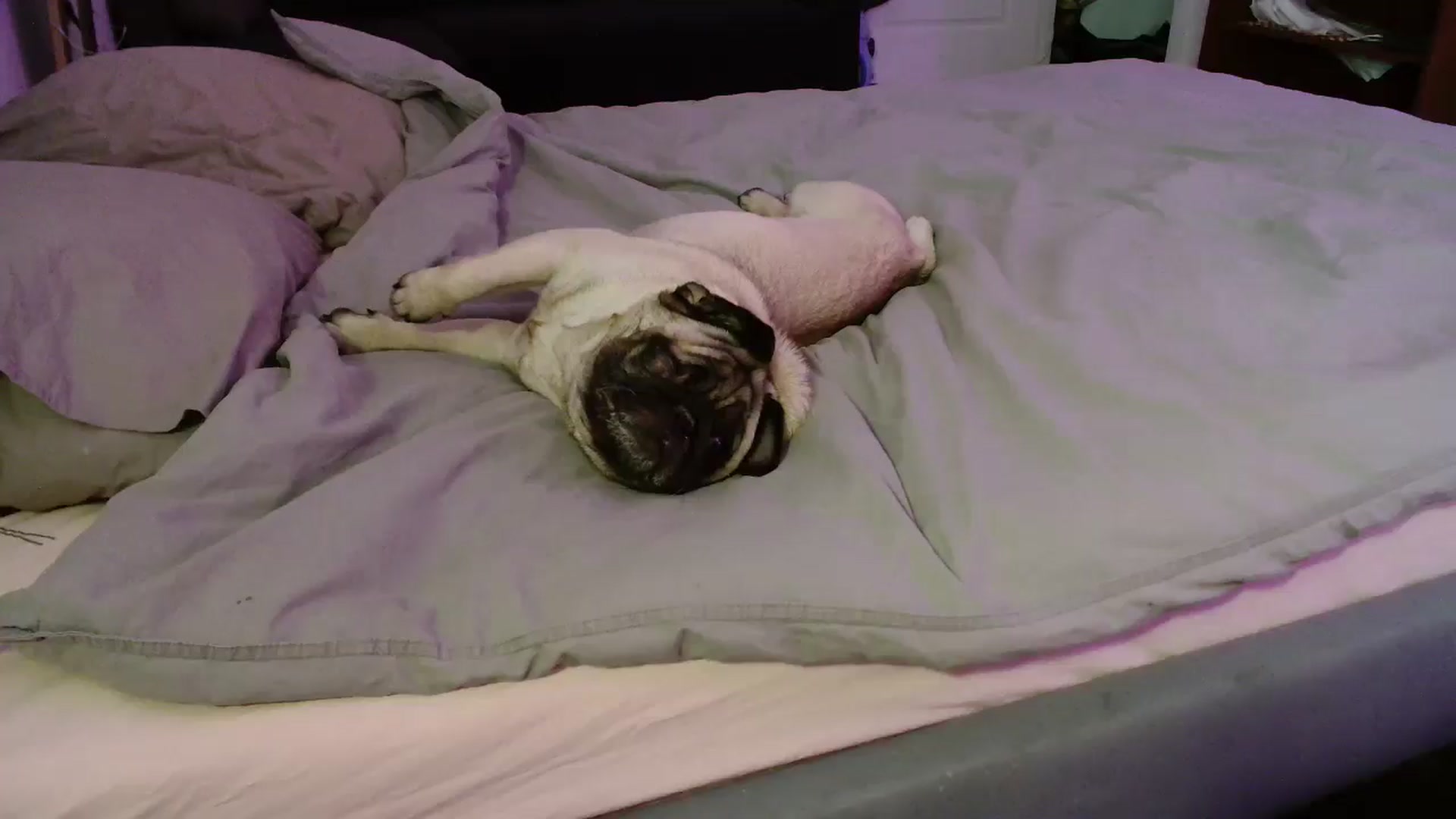 Gallery image thumbnail from FunnyMinni's myfreecams stream on, 03/01/2025, 18:03 image 14 of 20