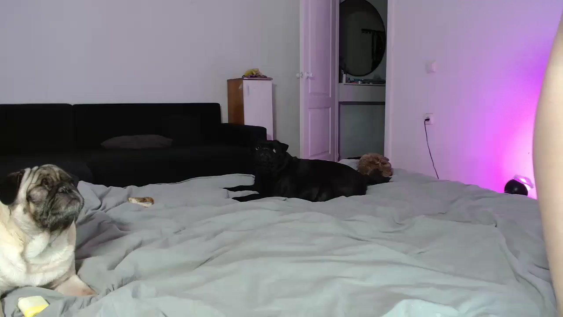 Gallery image thumbnail from FunnyMinni's myfreecams stream on, 09/14/2025, 19:26 image 3 of 20