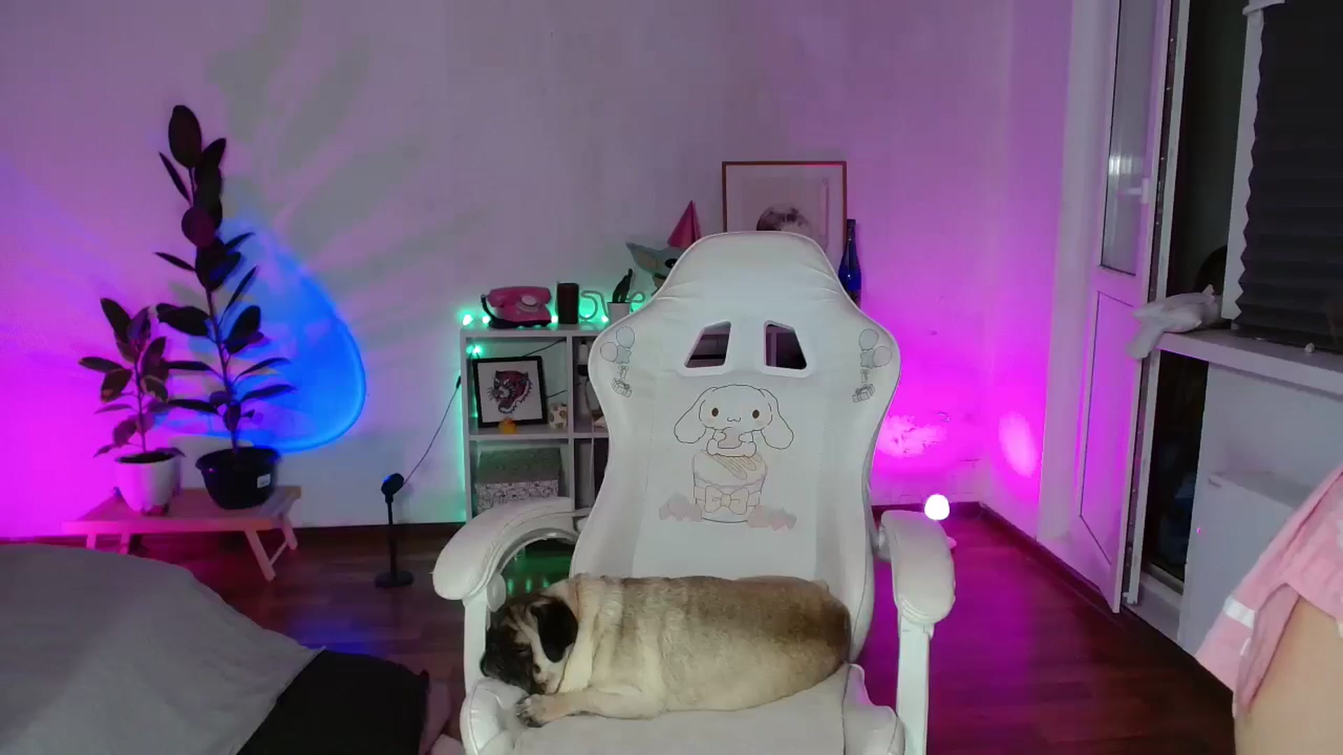 Gallery image thumbnail from FunnyMinni's myfreecams stream on, 09/23/2025, 17:19 image 19 of 20