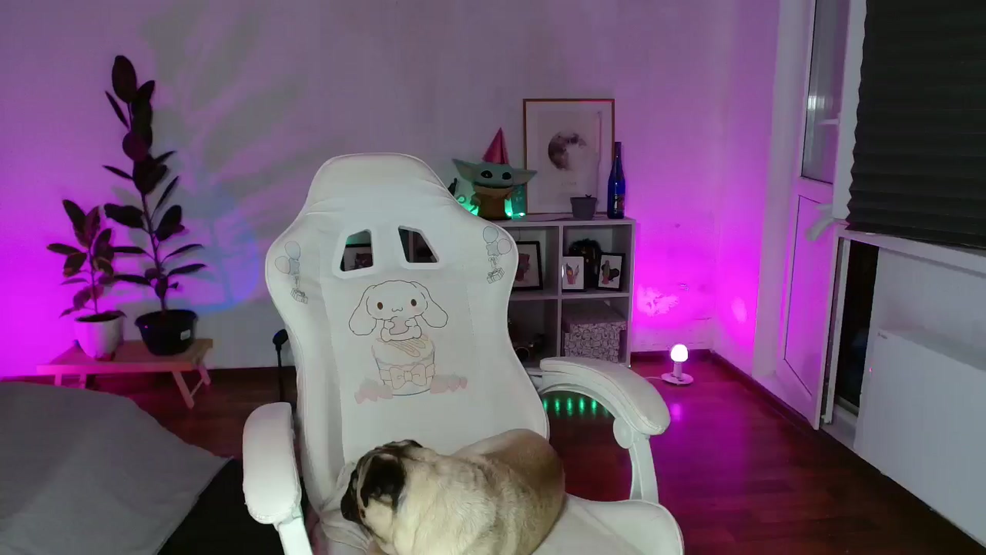 Gallery image thumbnail from FunnyMinni's myfreecams stream on, 09/23/2025, 20:21 image 4 of 20