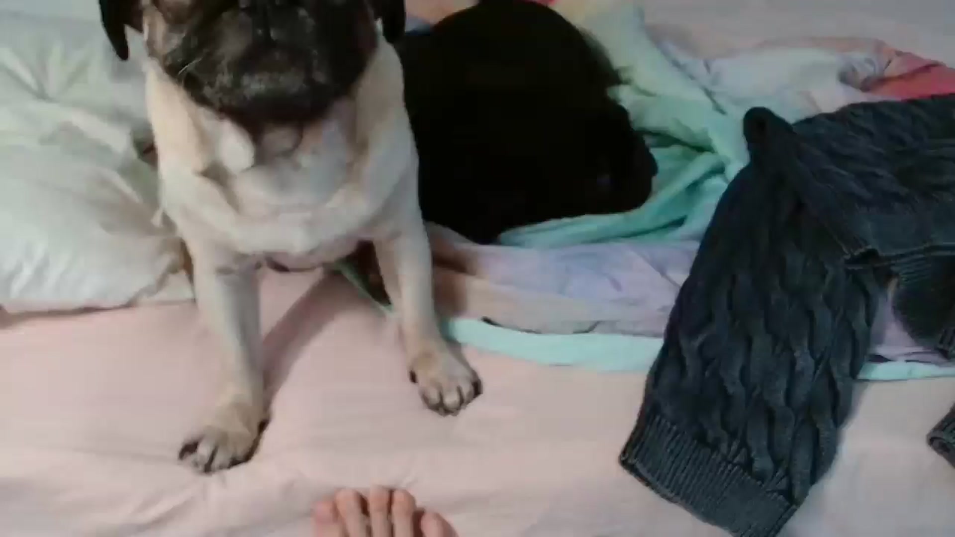 Gallery image thumbnail from FunnyMinni's myfreecams stream on, 10/08/2025, 09:10 image 1 of 20