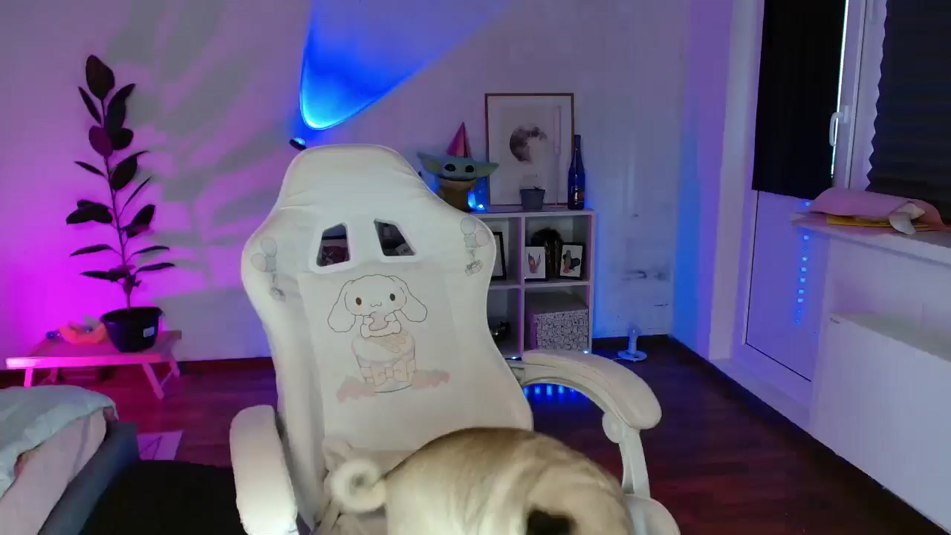 Gallery image thumbnail from FunnyMinni's myfreecams stream on, 10/11/2025, 08:30 image 20 of 20