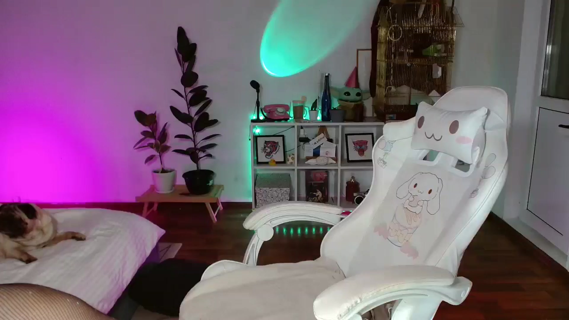 Gallery image thumbnail from FunnyMinni's myfreecams stream on, 11/07/2025, 20:30 image 14 of 20