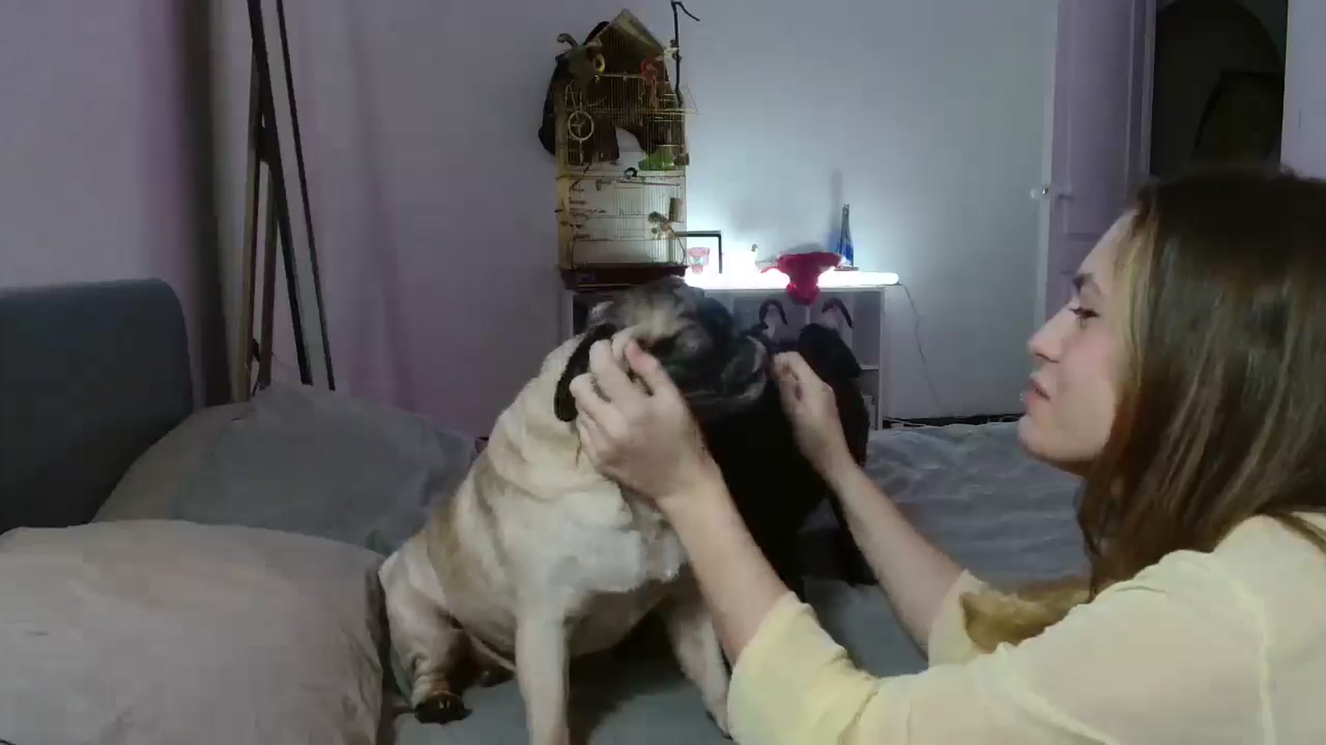 Gallery image thumbnail from FunnyMinni's myfreecams stream on, 12/29/2025, 20:42 image 20 of 20