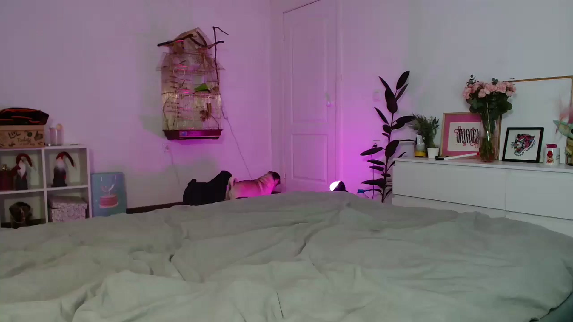 Gallery image thumbnail from FunnyMinni's myfreecams stream on, 01/12/2026, 20:33 image 18 of 20