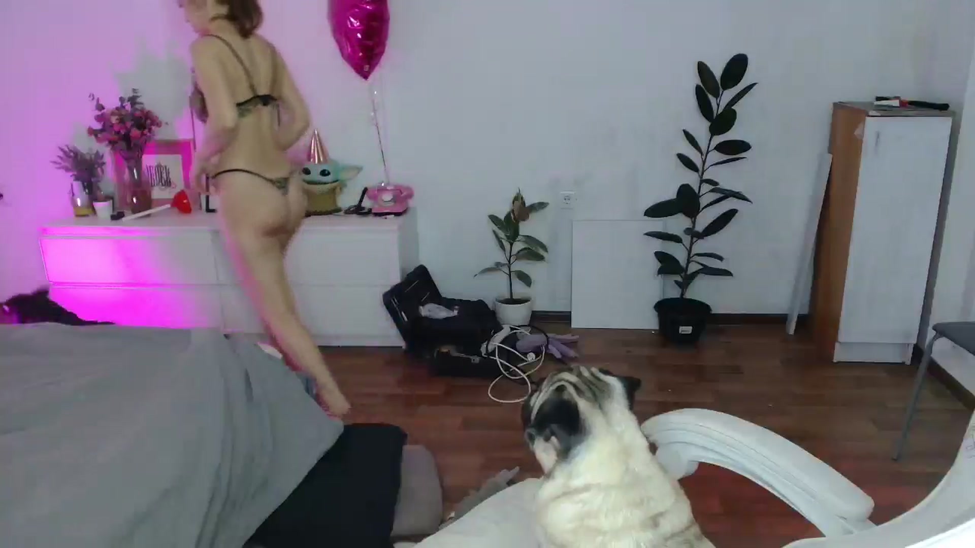 Gallery image thumbnail from FunnyMinni's myfreecams stream on, 01/20/2026, 18:52 image 6 of 20
