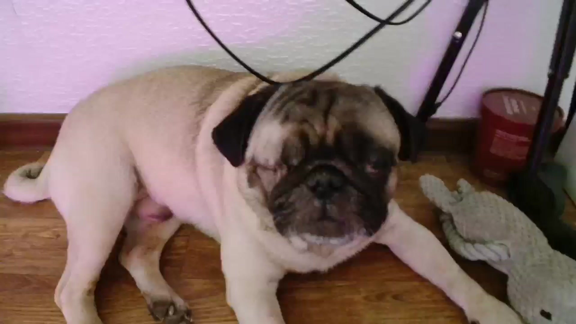 Gallery image thumbnail from FunnyMinni's myfreecams stream on, 02/15/2026, 19:29 image 1 of 20