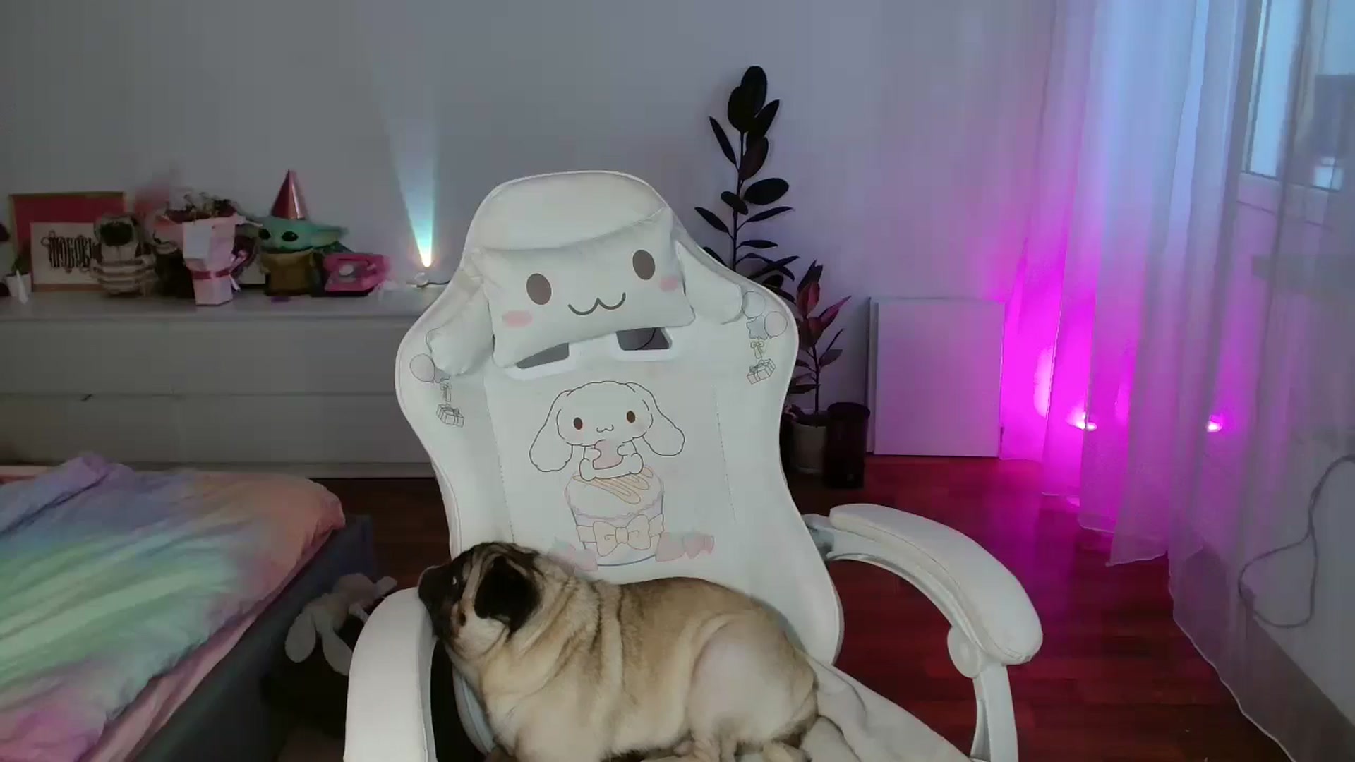 Gallery image thumbnail from FunnyMinni's myfreecams stream on, 03/21/2026, 07:03 image 2 of 20