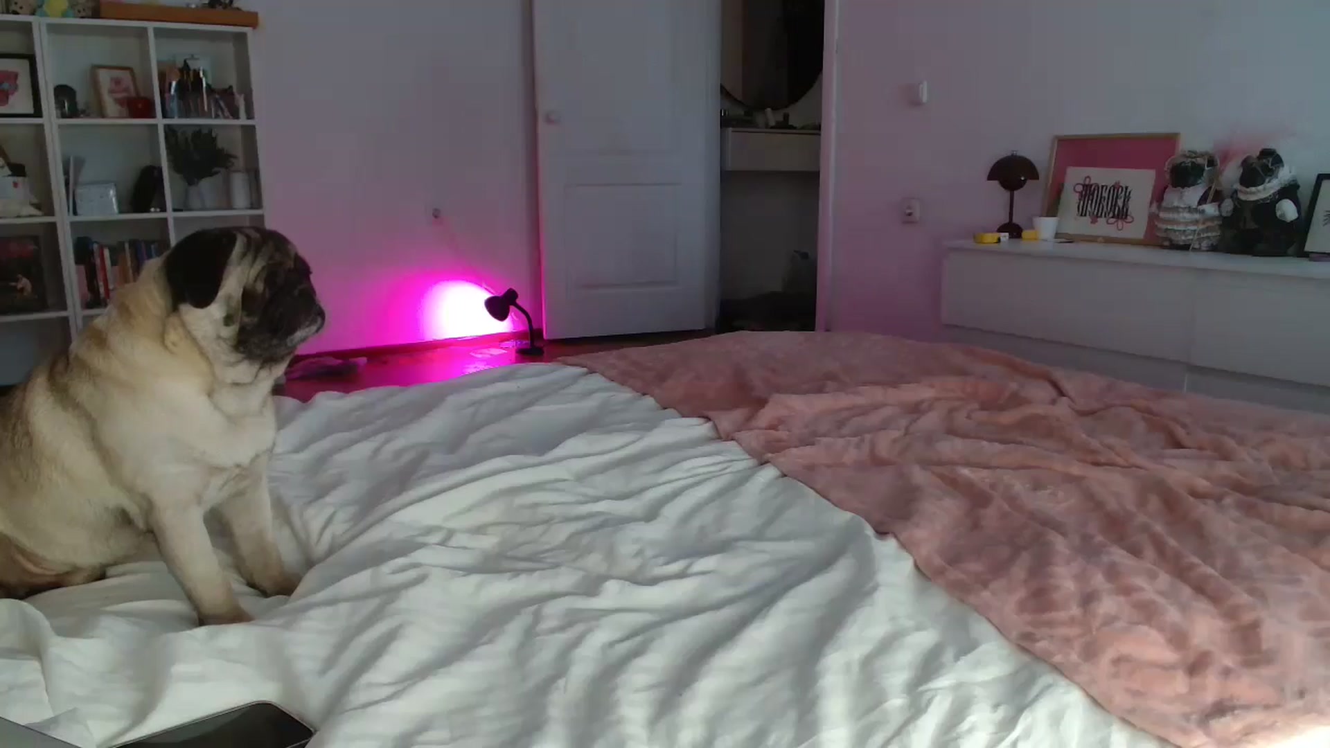 Gallery image thumbnail from FunnyMinni's myfreecams stream on, 04/23/2026, 08:53 image 3 of 20