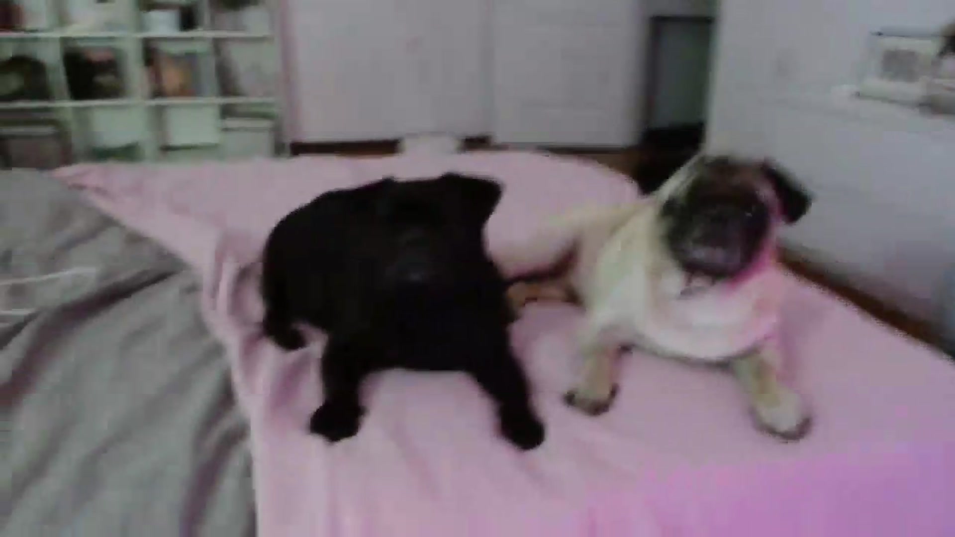 Gallery image thumbnail from FunnyMinni's myfreecams stream on, 07/07/2026, 20:08 image 17 of 20