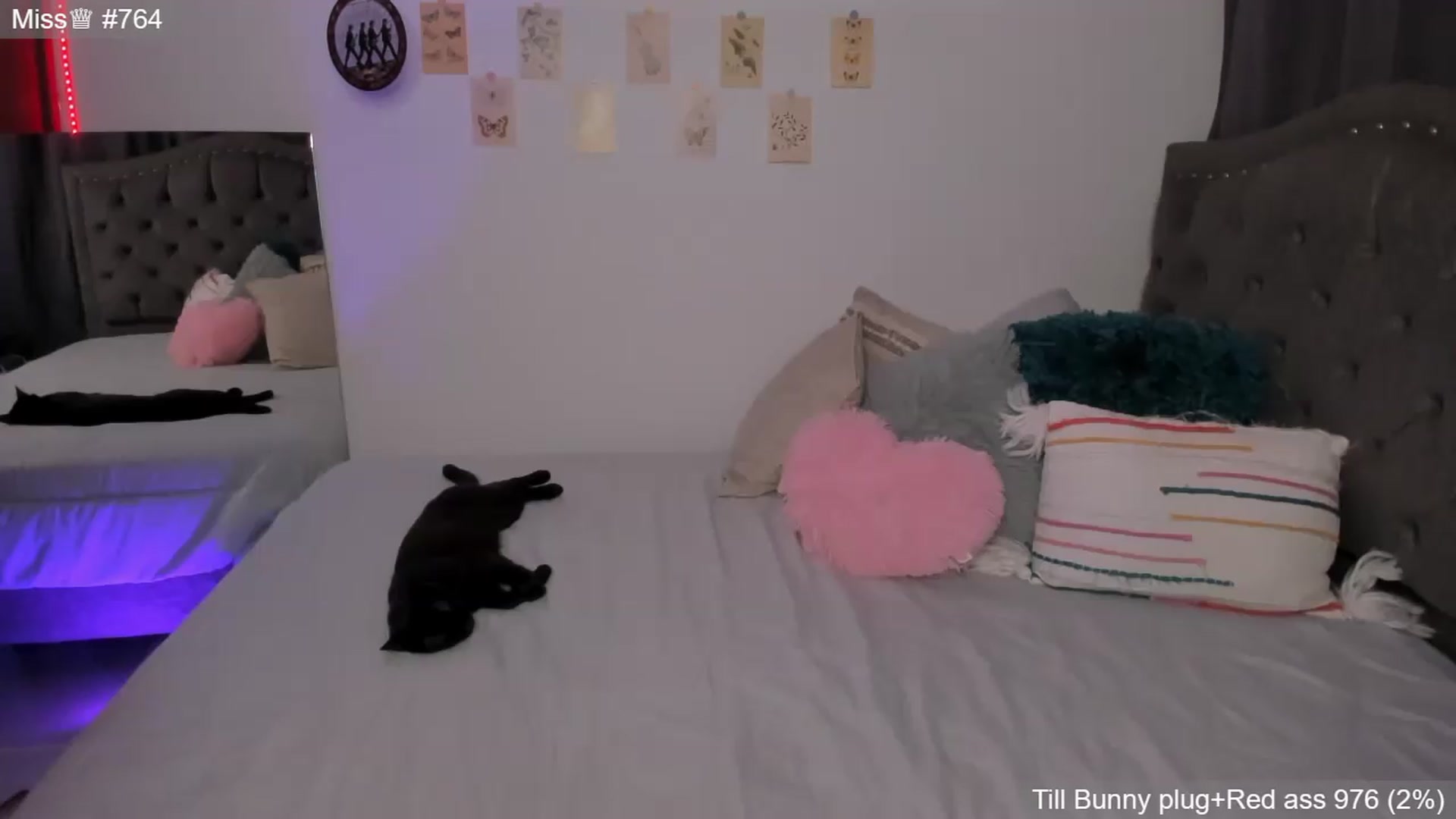 Gallery image thumbnail from GATA_______'s myfreecams stream on, 05/12/2026, 01:29 image 6 of 20