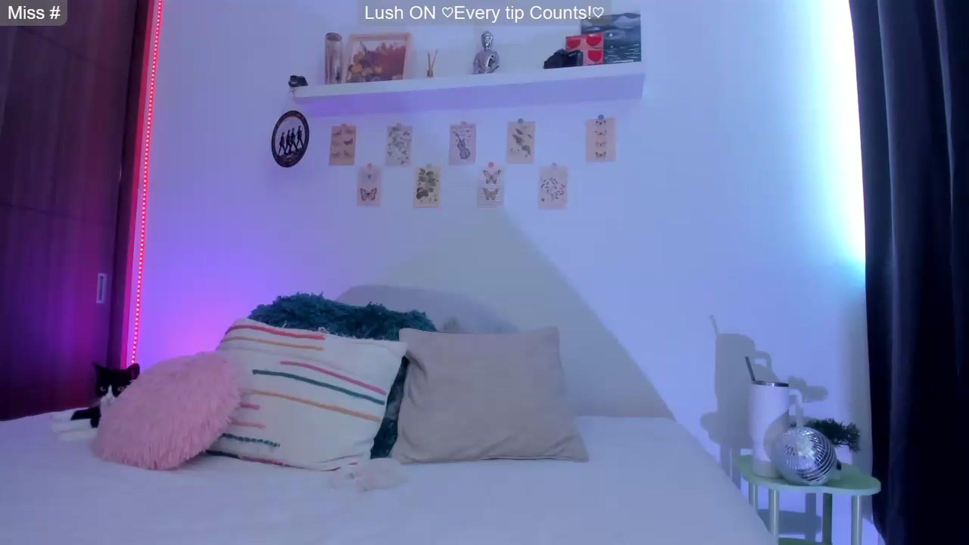 Gallery image thumbnail from GATA_______'s myfreecams stream on, 06/01/2026, 16:08 image 3 of 20