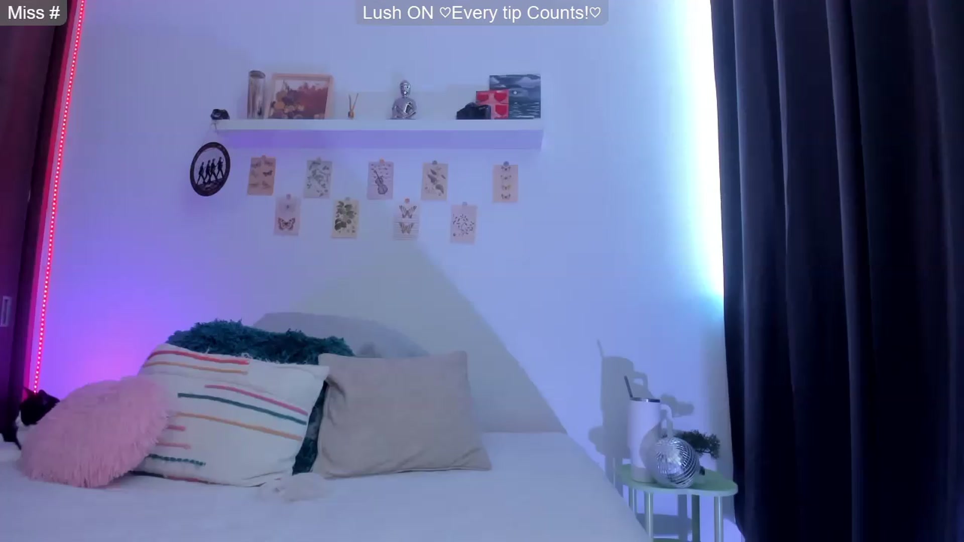 Gallery image thumbnail from GATA_______'s myfreecams stream on, 06/01/2026, 16:08 image 7 of 20