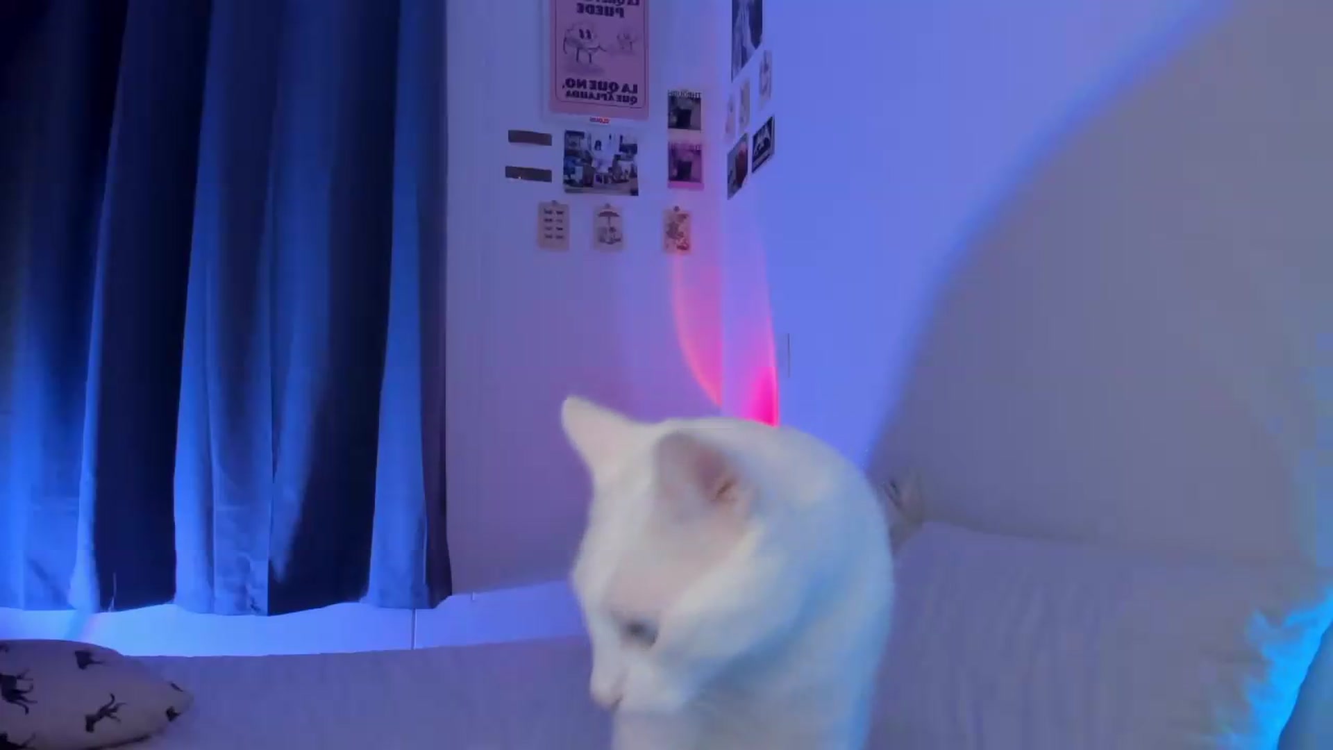 Gallery image thumbnail from GATA_______'s myfreecams stream on, 06/25/2026, 23:22 image 13 of 20