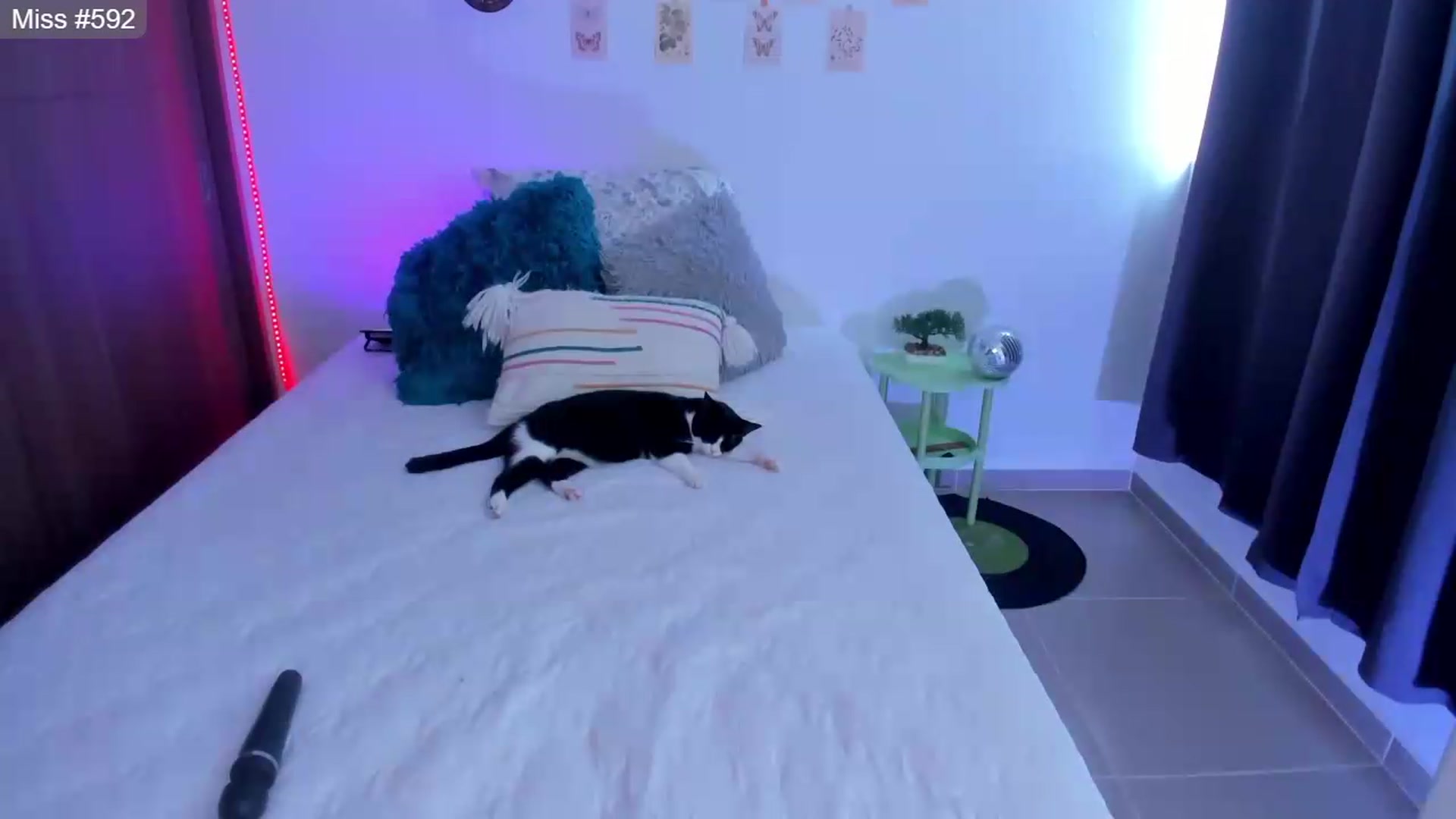 Gallery image thumbnail from GATA_______'s myfreecams stream on, 07/09/2026, 17:53 image 7 of 20