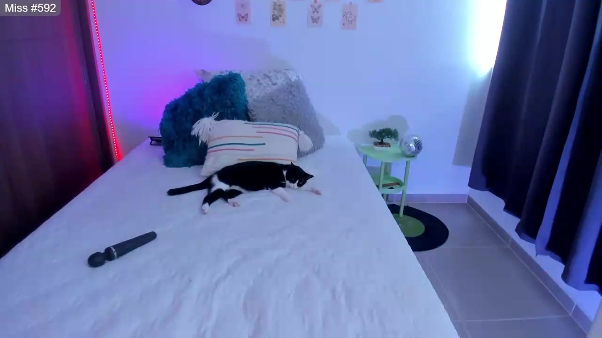 Gallery image thumbnail from GATA_______'s myfreecams stream on, 07/09/2026, 17:53 image 5 of 20