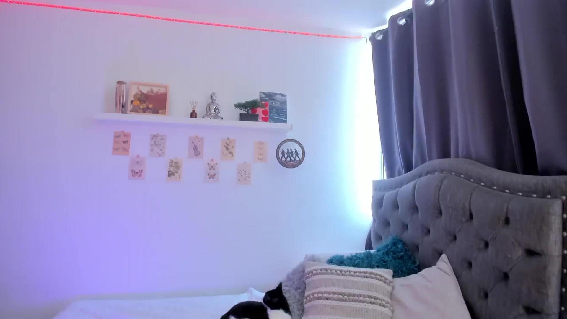Gallery image thumbnail from GATA_miau's myfreecams stream on, 03/26/2026, 17:00 image 10 of 20