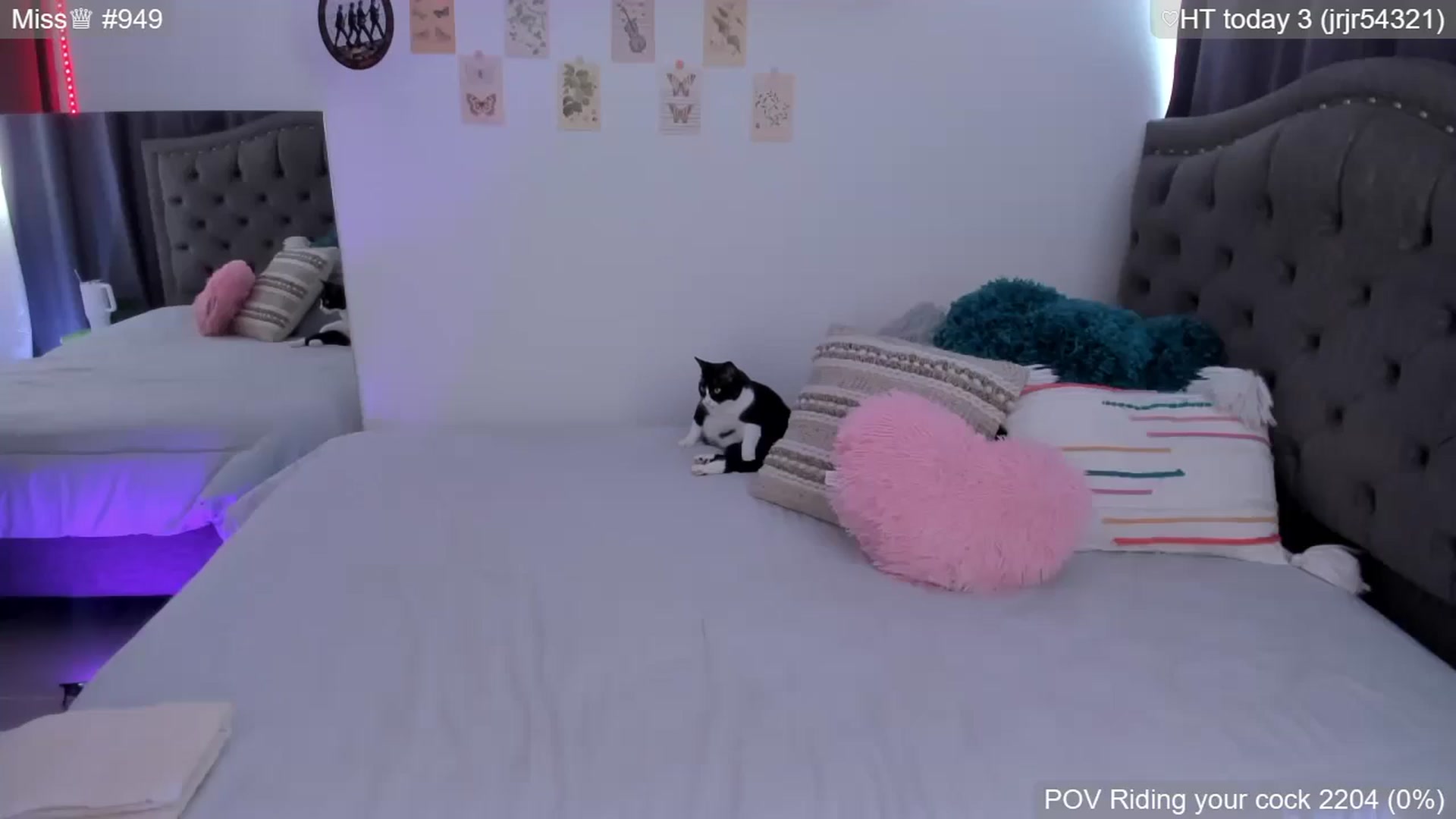Gallery image thumbnail from GATA_miau's myfreecams stream on, 05/04/2026, 21:03 image 14 of 20