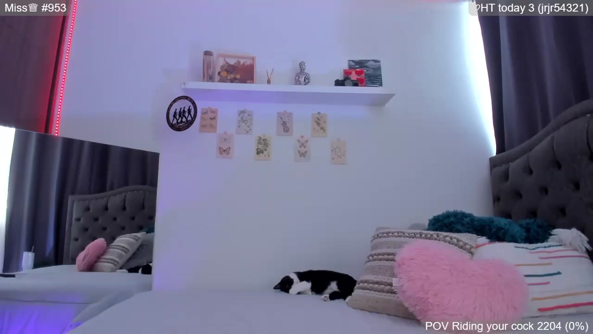 Gallery image thumbnail from GATA_miau's myfreecams stream on, 05/04/2026, 21:03 image 19 of 20