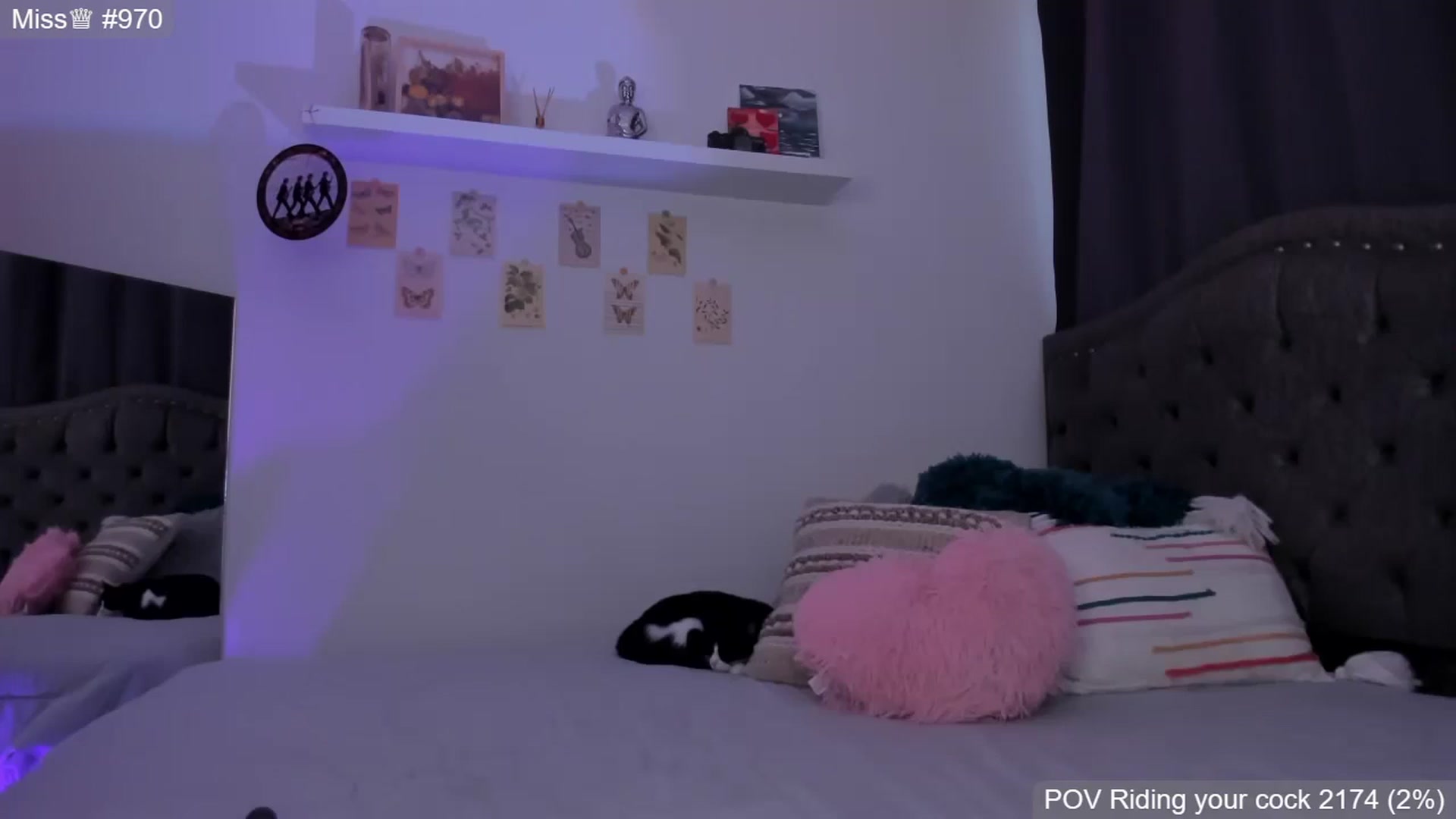 Gallery image thumbnail from GATA_miau's myfreecams stream on, 05/05/2026, 24:30 image 5 of 20