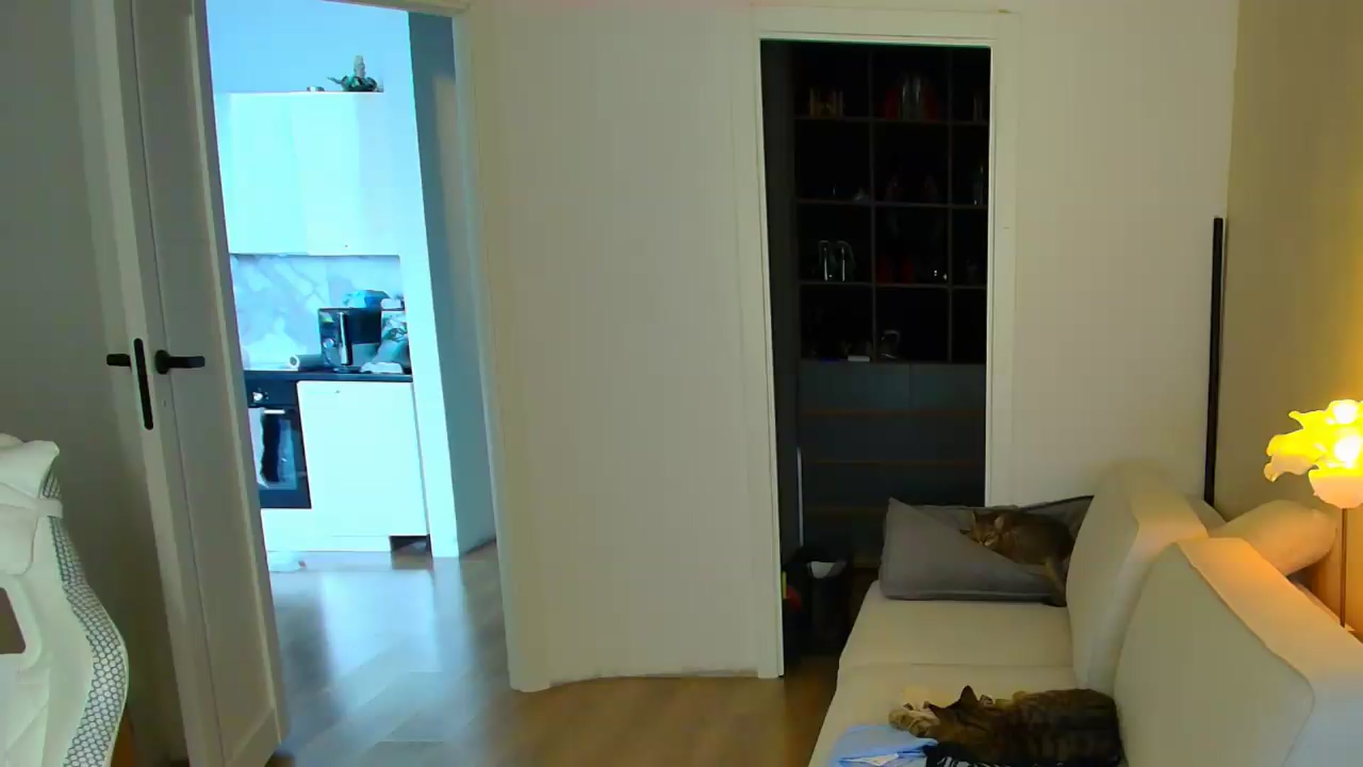 Gallery image thumbnail from GODDESS_'s myfreecams stream on, 07/26/2026, 11:18 image 7 of 20