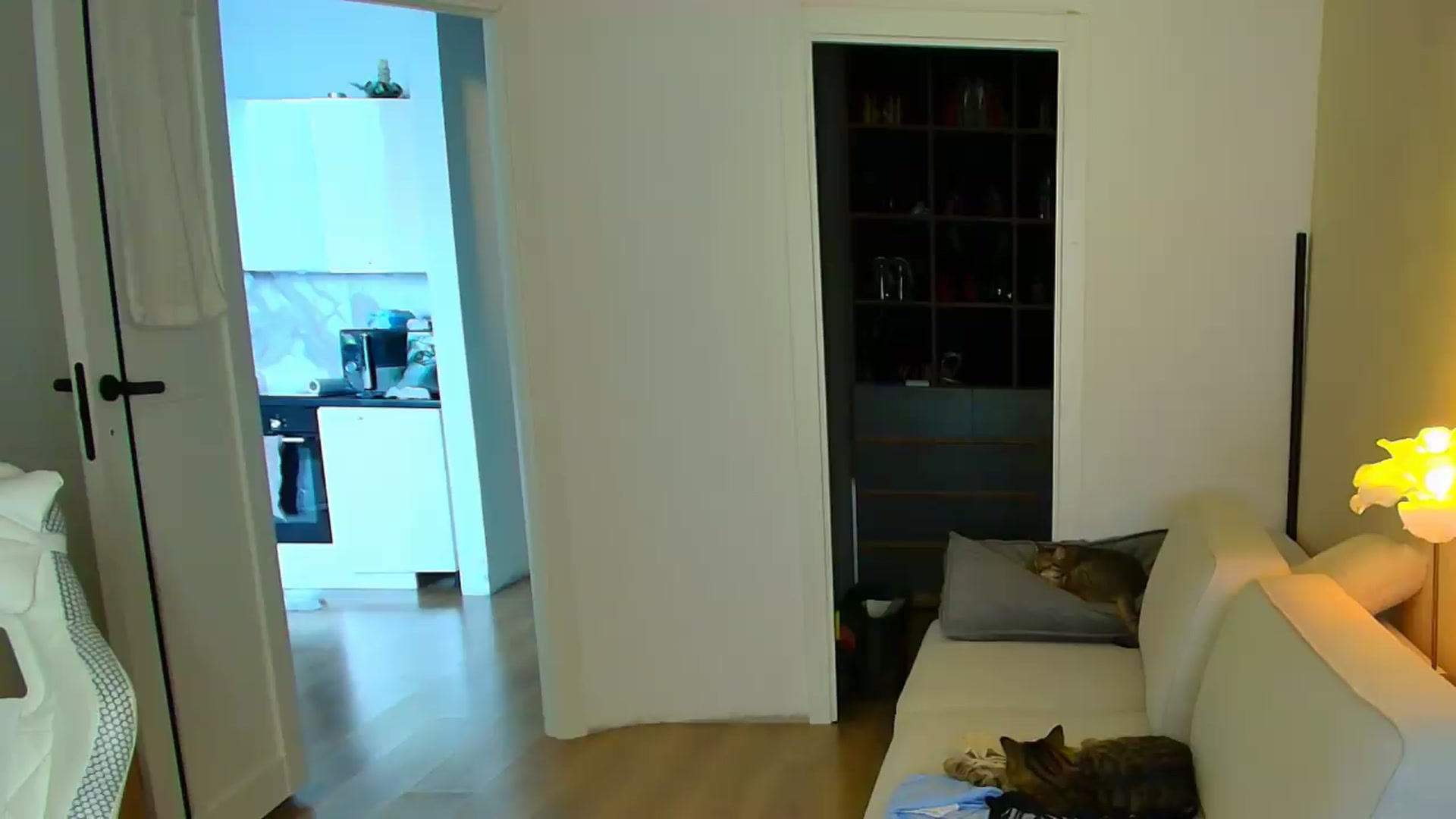 Gallery image thumbnail from GODDESS_'s myfreecams stream on, 07/26/2026, 11:18 image 10 of 20